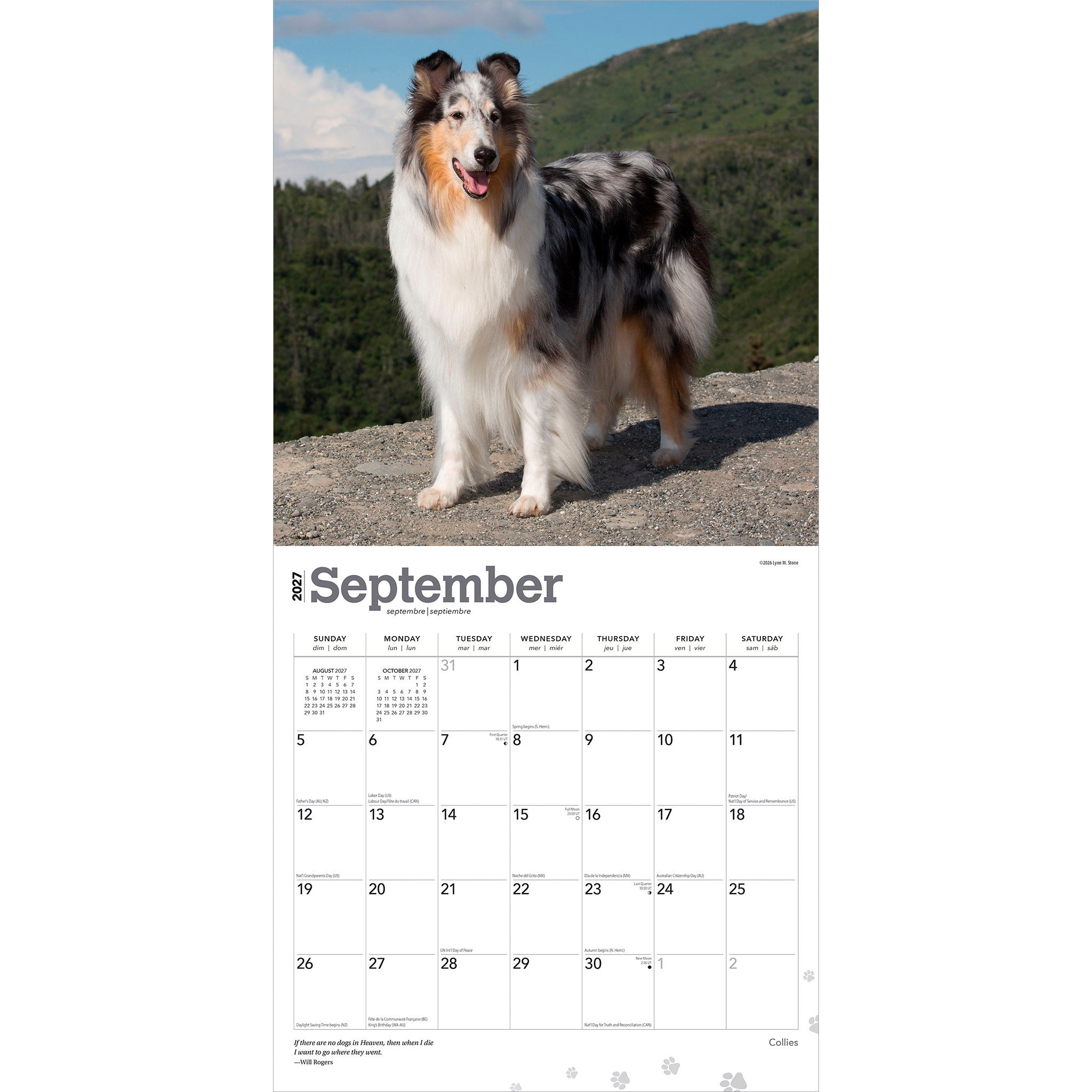Collies 2027 Wall Calendar