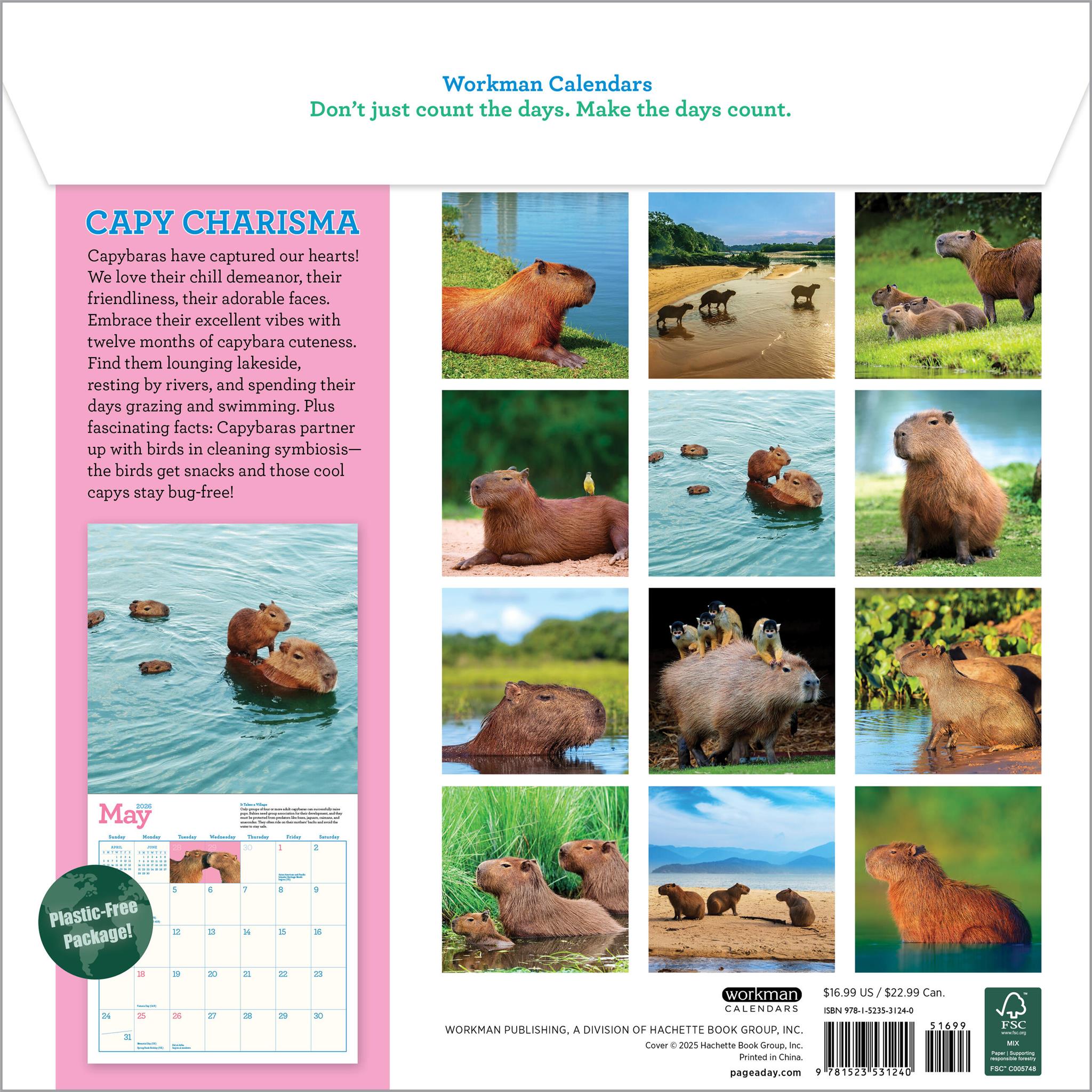 Calendrier mural Capybara 2026