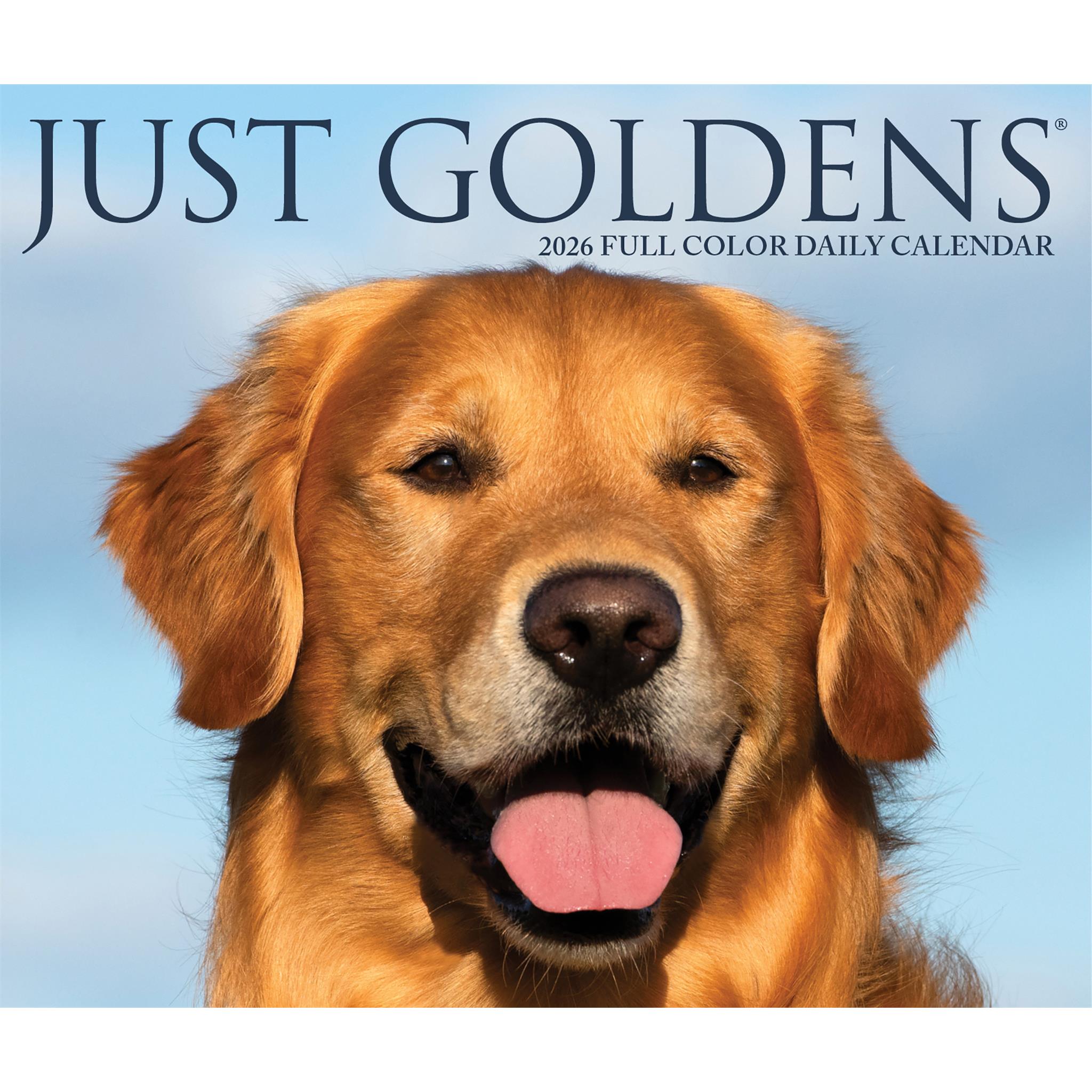 Goldens 2026 Just Box Calendar