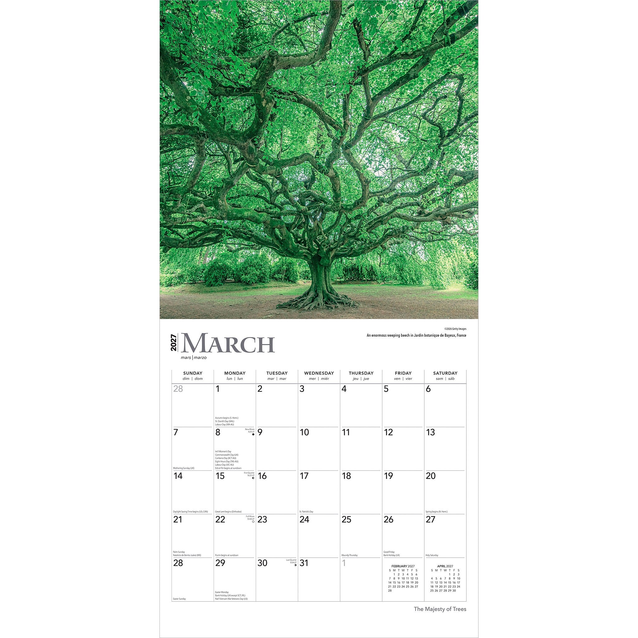 Majesty of Trees 2027 Wall Calendar - Online Only