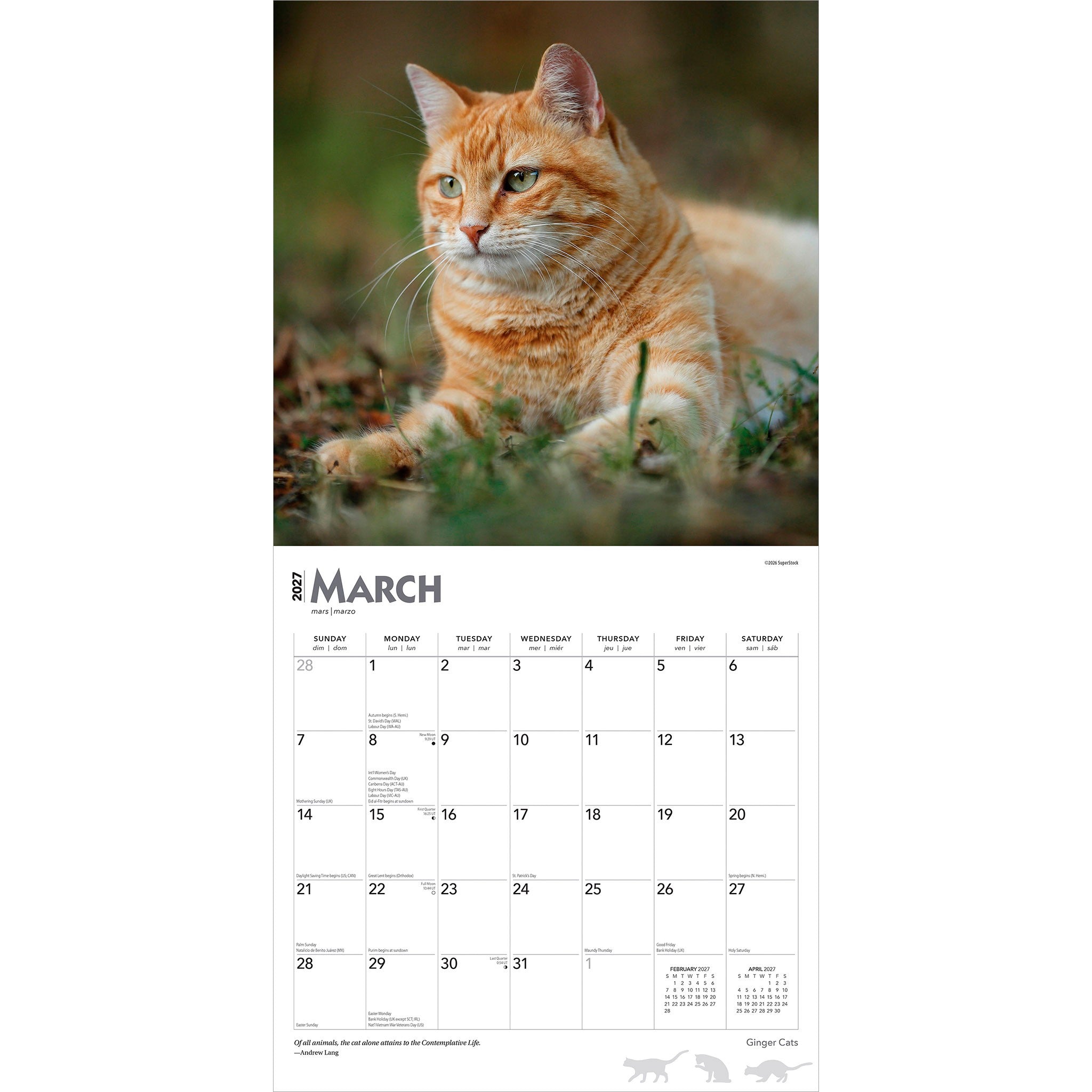 Ginger Cats 2027 Wall Calendar