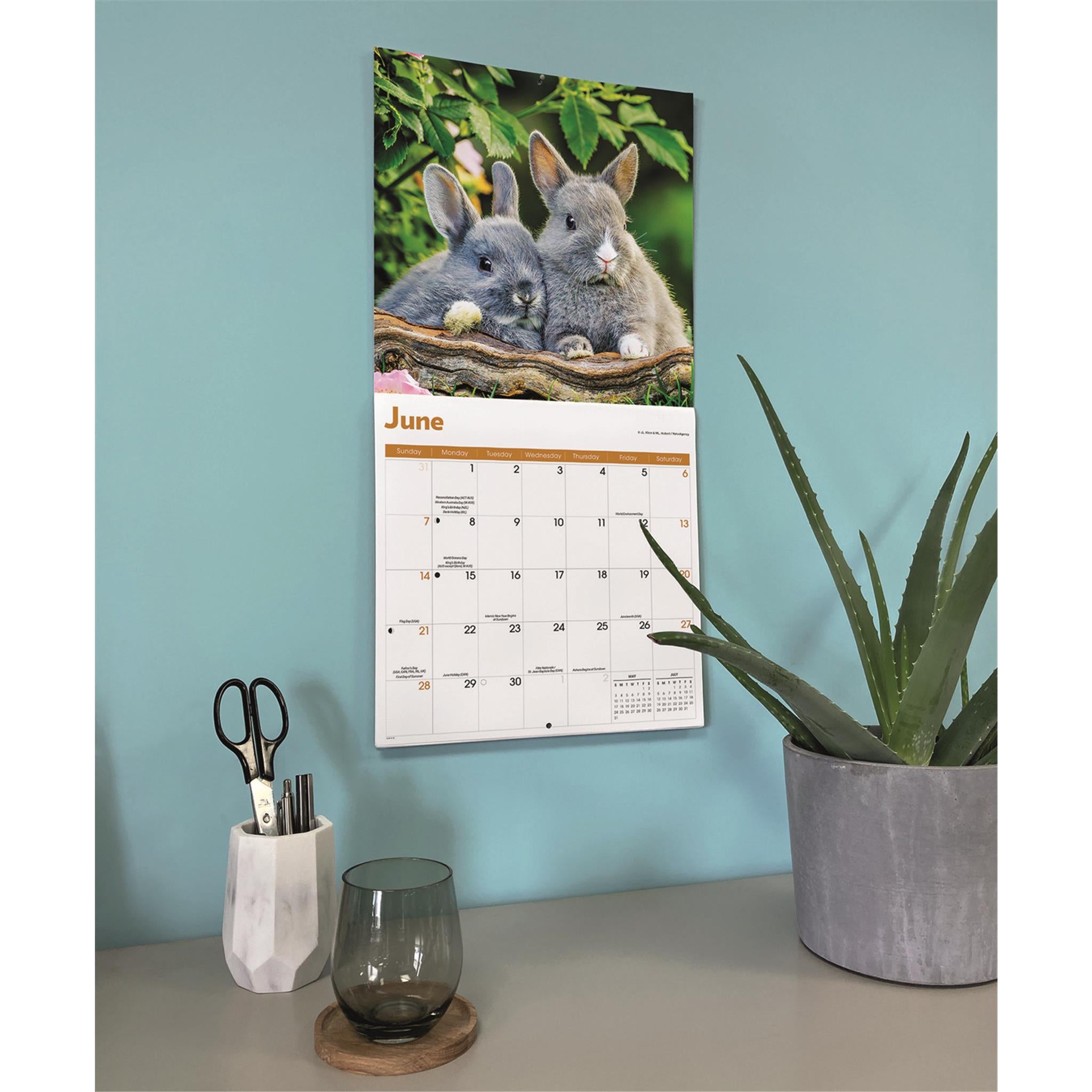 Calendrier mural Lapins 2026