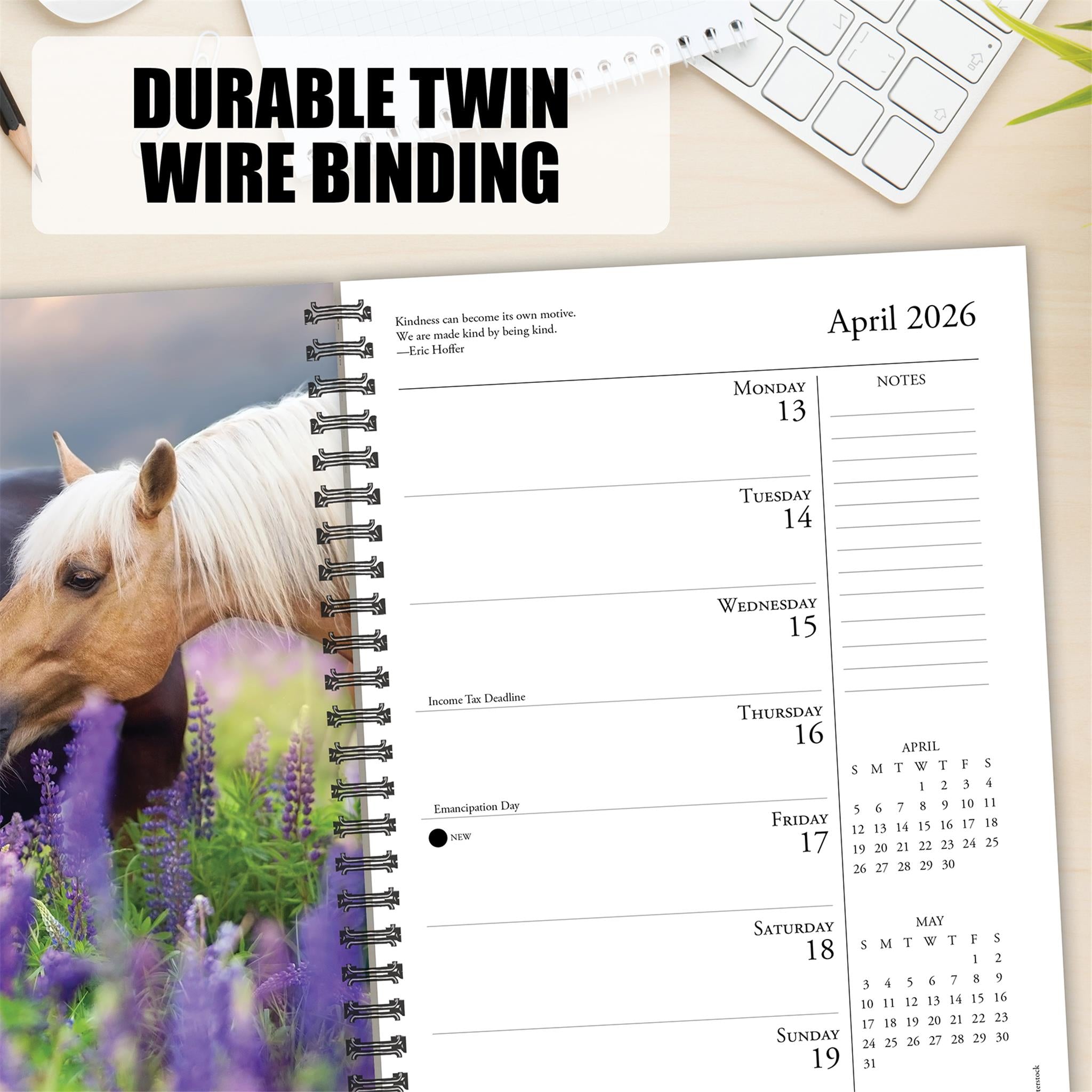 Calendrier des fiançailles 2026 de What Horses Teach Us