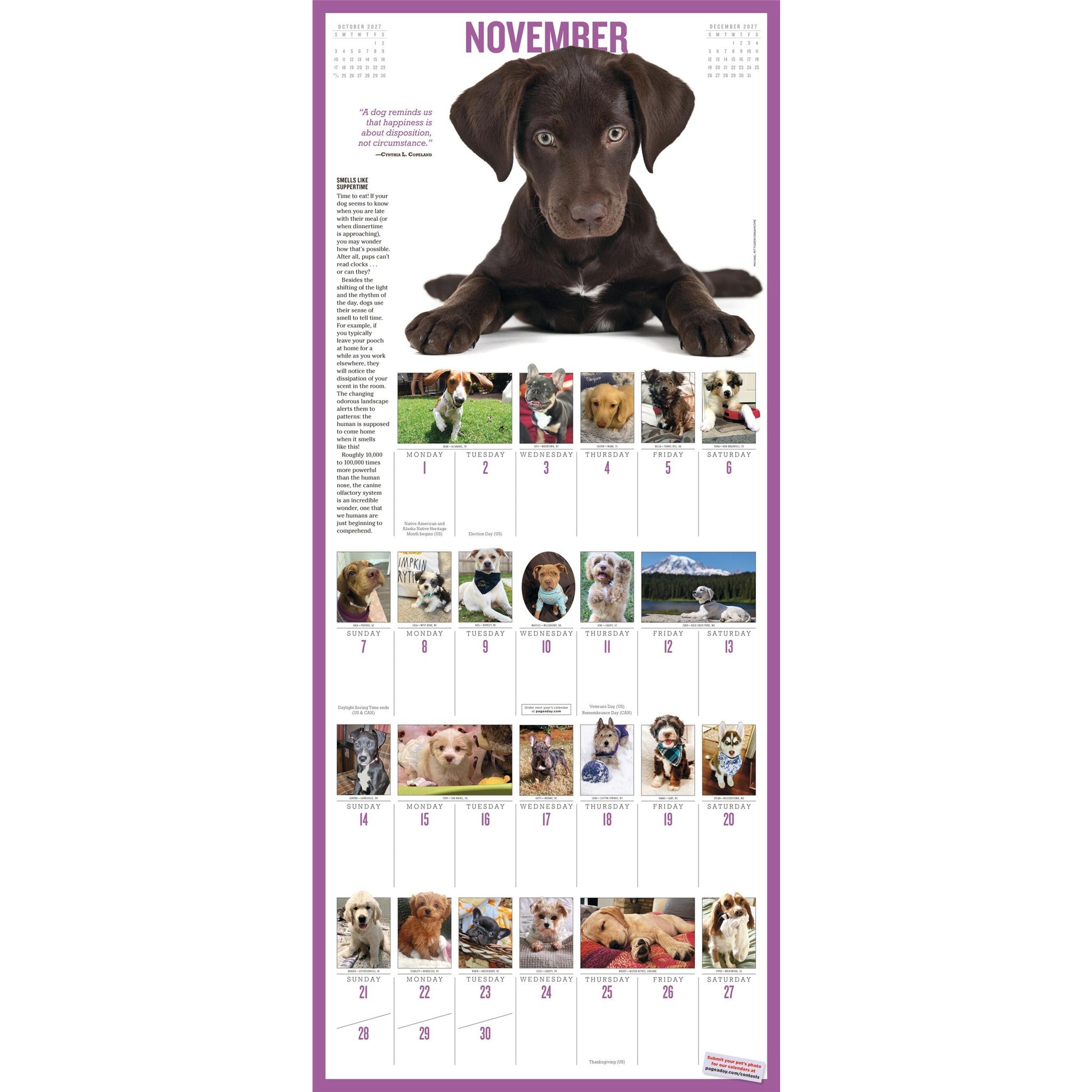 365 Puppies a Year 2027 Wall Calendar