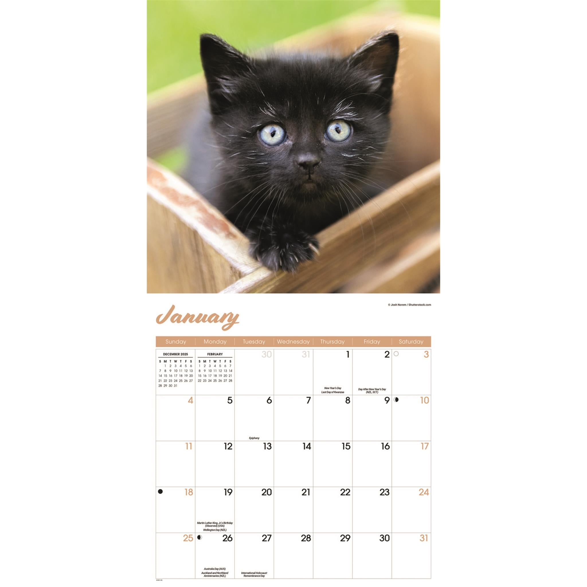 Calendrier mural Chatons noirs 2026