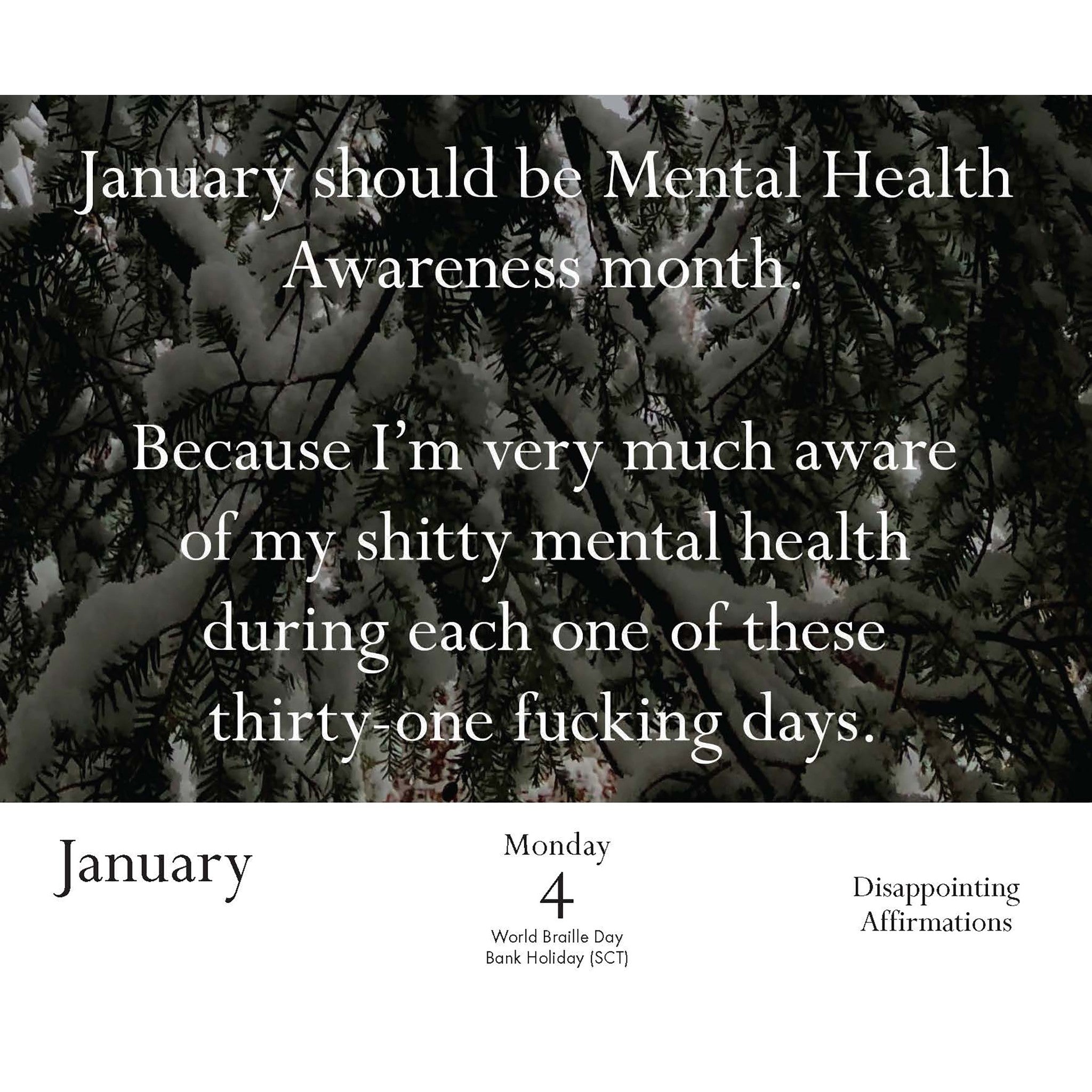 Disappointing Affirmations 2027 Box Calendar