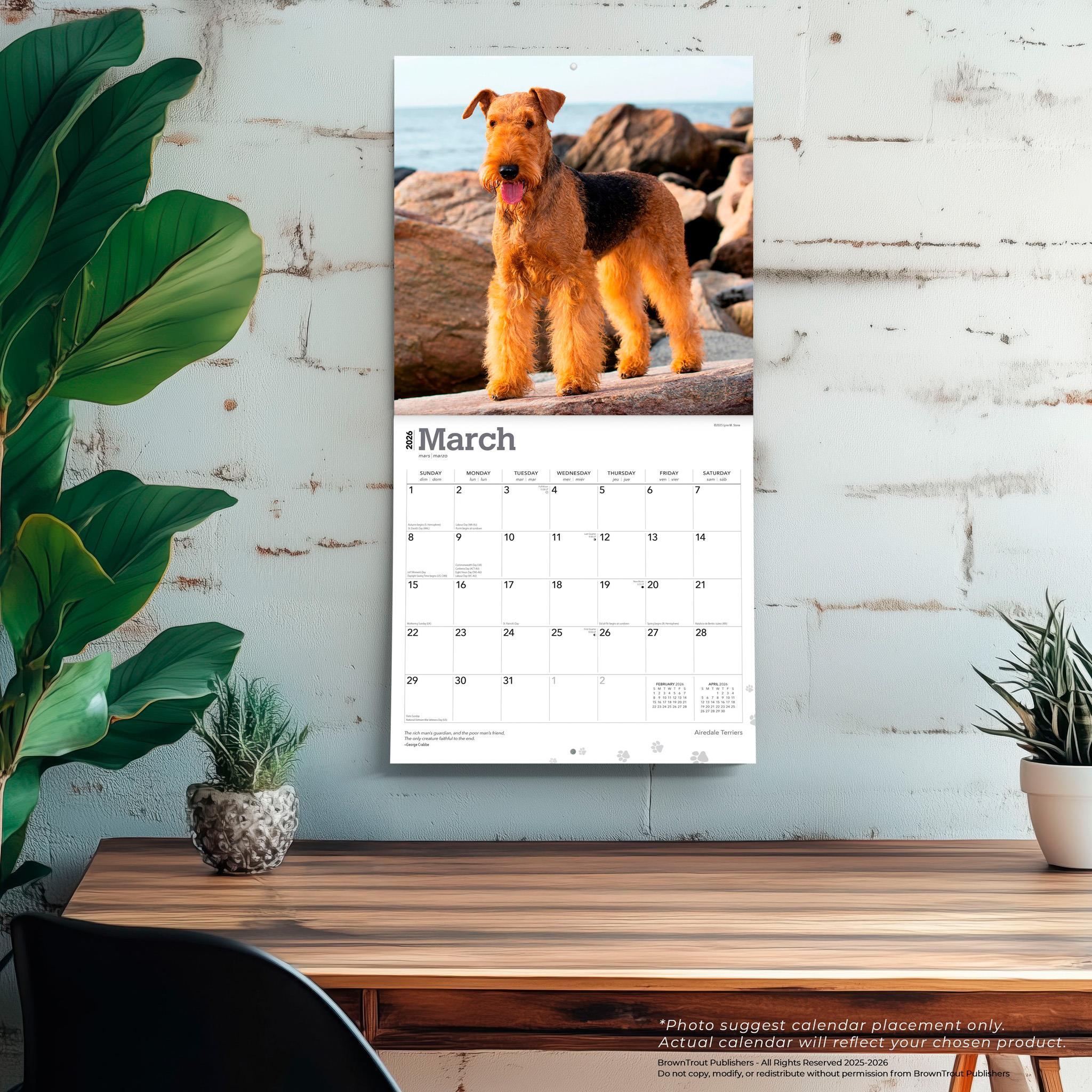 Calendrier mural Airedale Terriers 2026