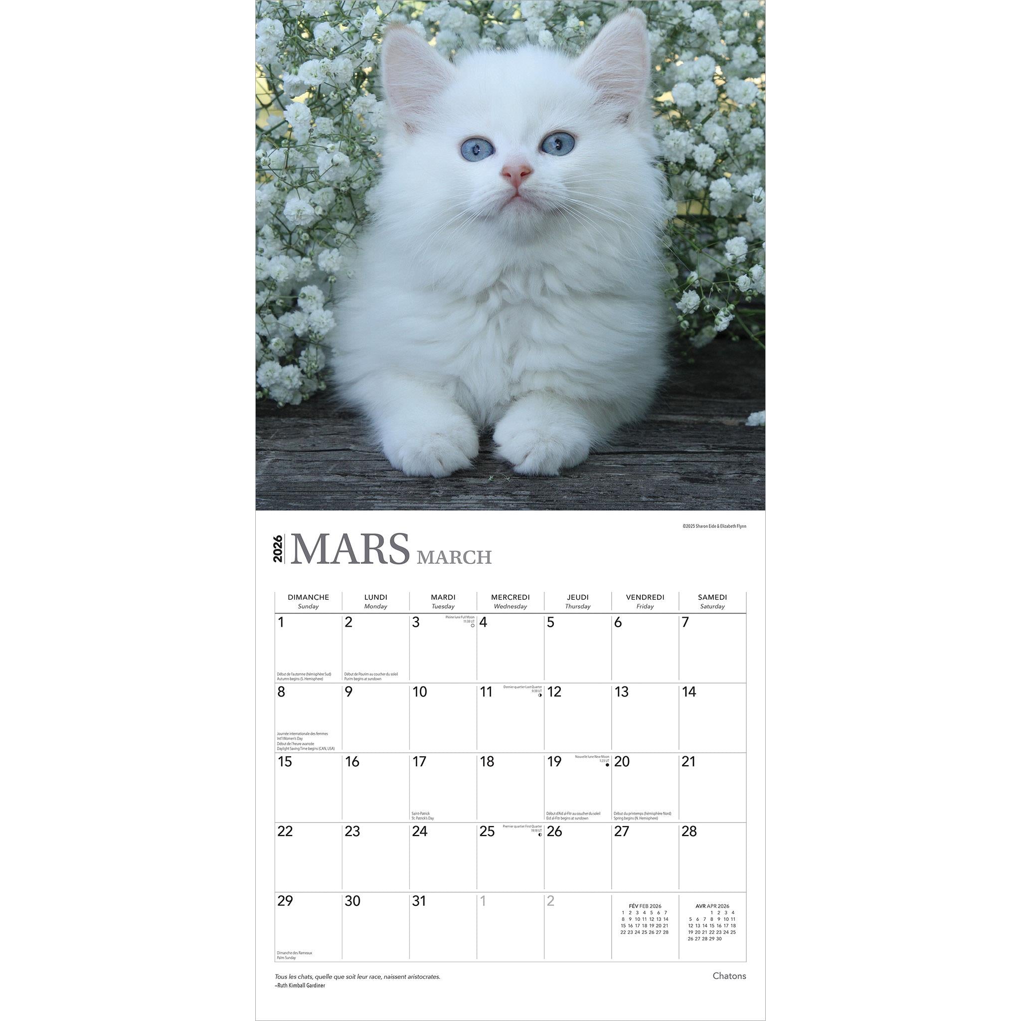 Calendrier mural Chatons 2026 (français)