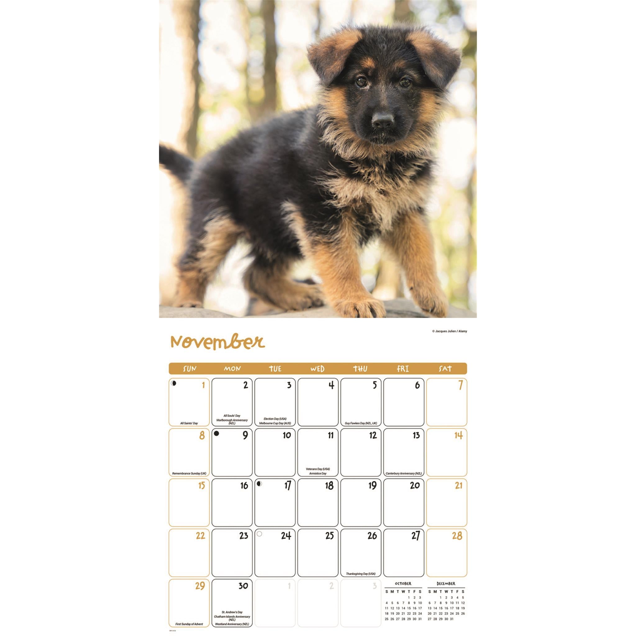 Calendrier mural Chiots 2026