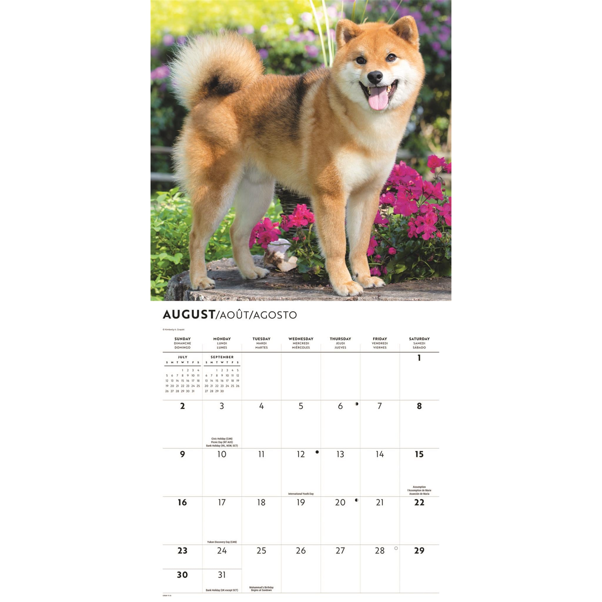 Calendrier mural Shiba Inu 2026