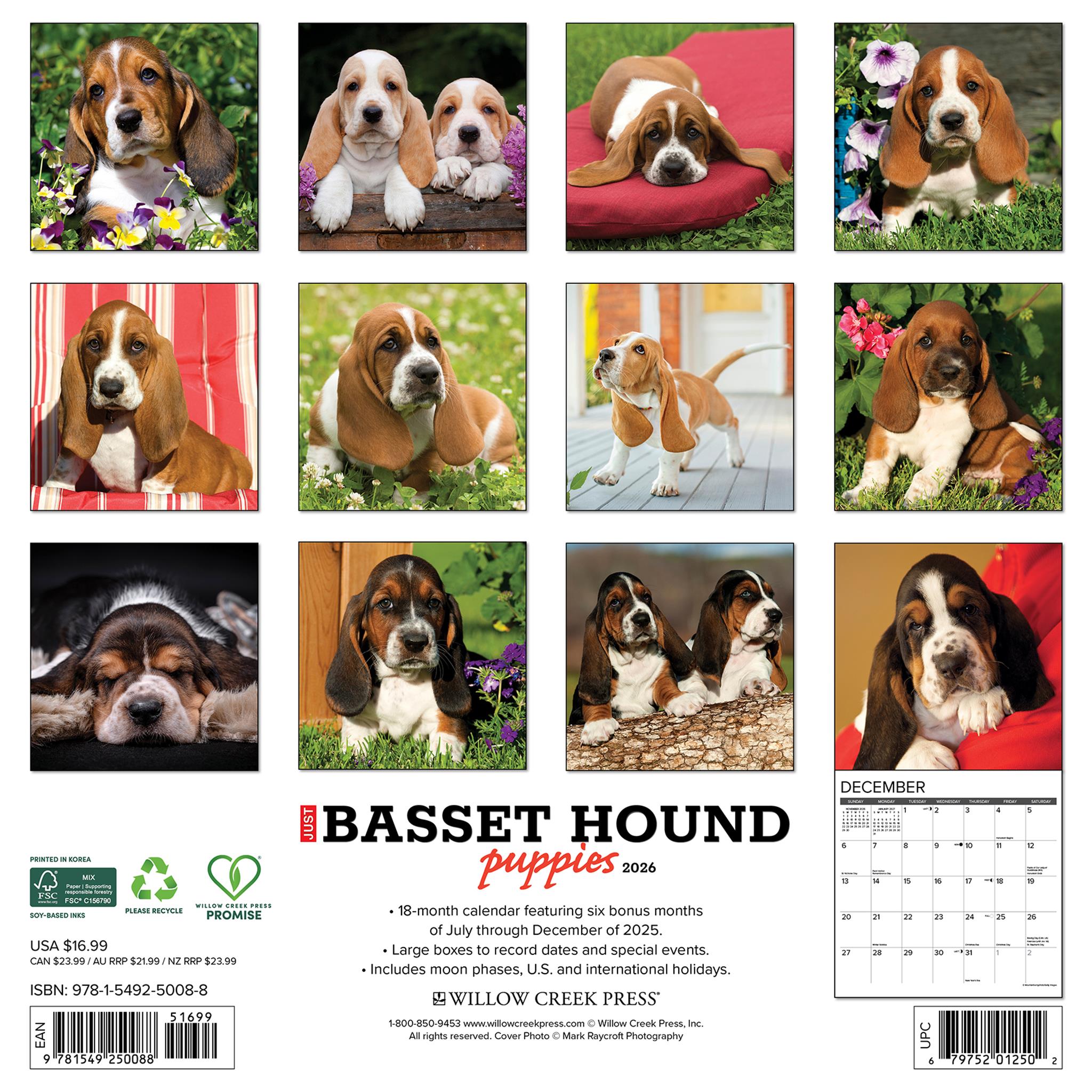 Calendrier mural 2026 « Juste des chiots Basset Hound » - Disponible uniquement en ligne