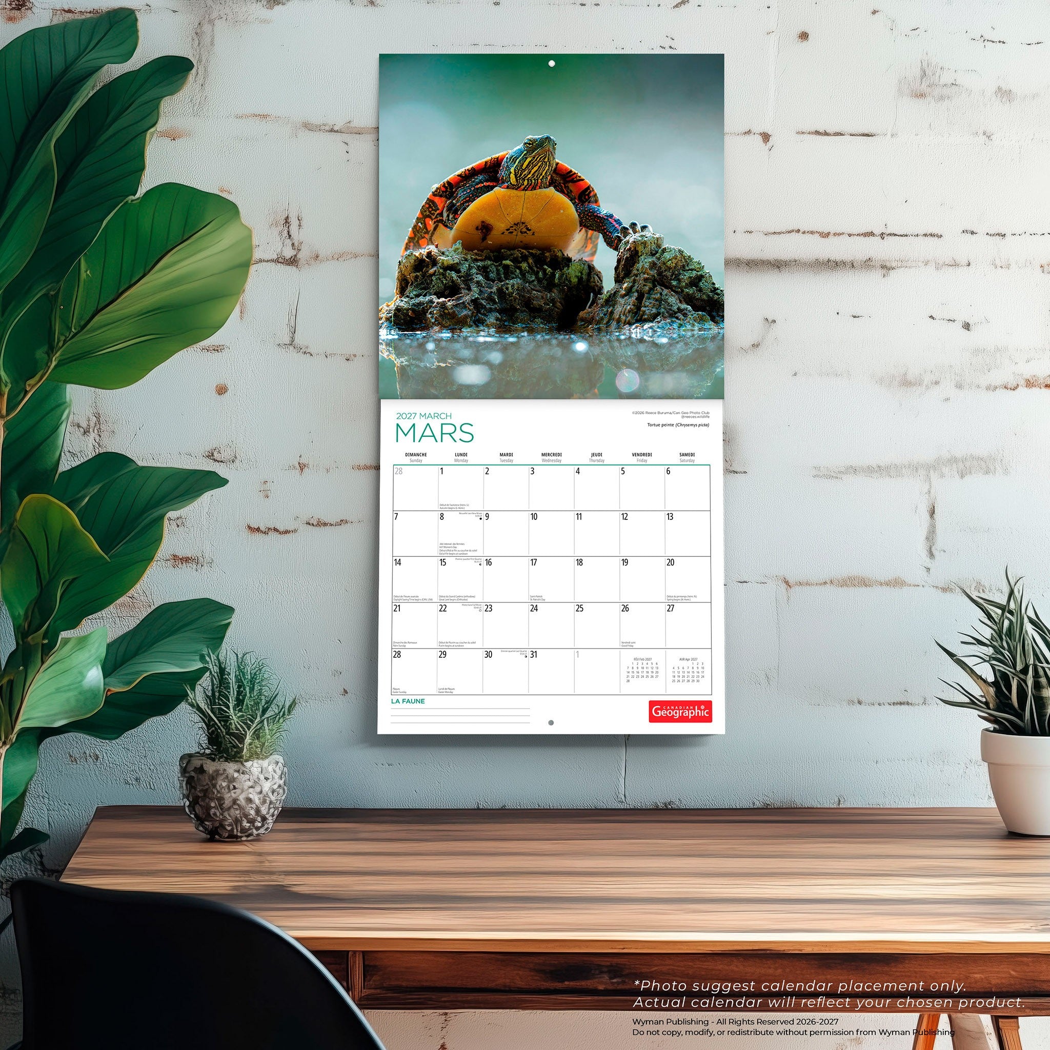 Canadian Geographic La faune 2027 Wall Calendar (French)