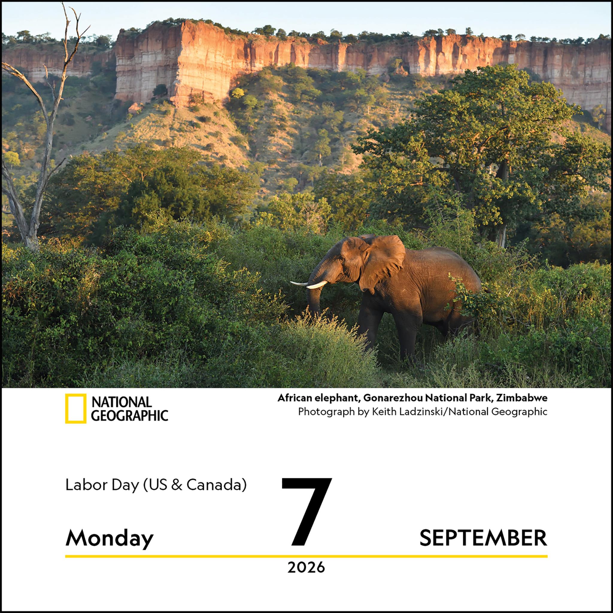 Calendrier National Geographic Nature 2026 (édition en ligne uniquement)