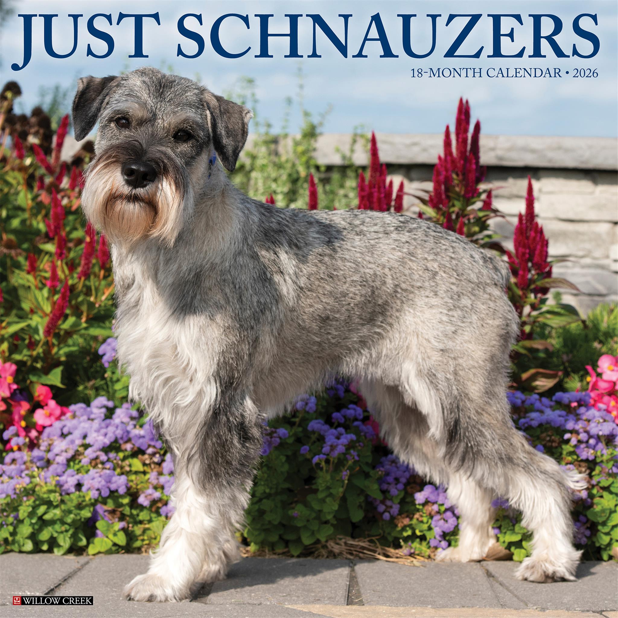 Calendrier mural Just Schnauzers 2026 - Disponible uniquement en ligne