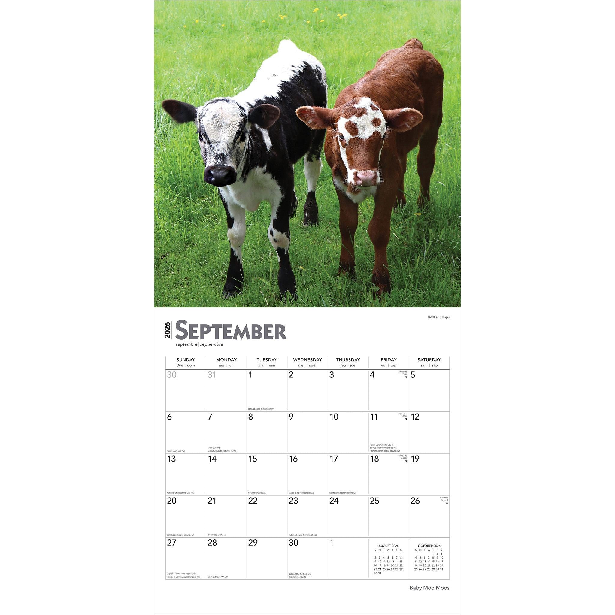 Calendrier mural Baby Moo Moos 2026 - Disponible uniquement en ligne