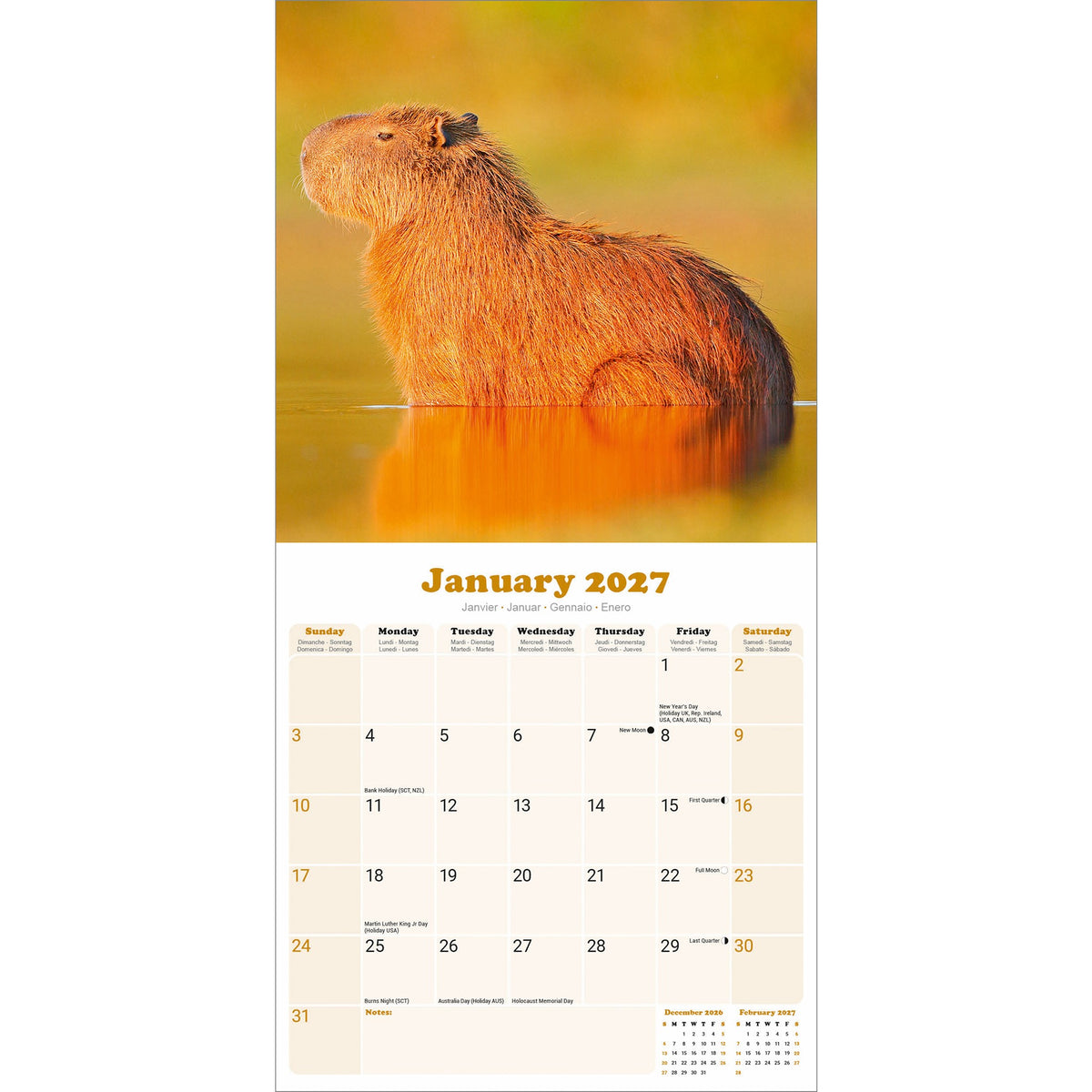 Capybara 2027 Wall Calendar