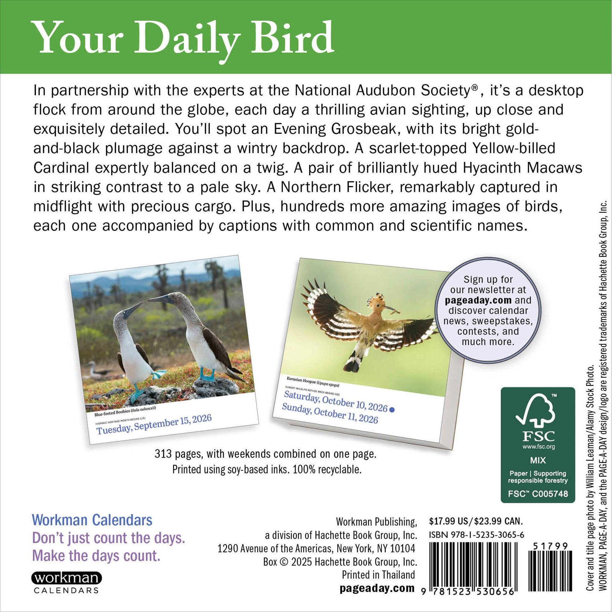 Audubon Birds 2026 Box Calendar