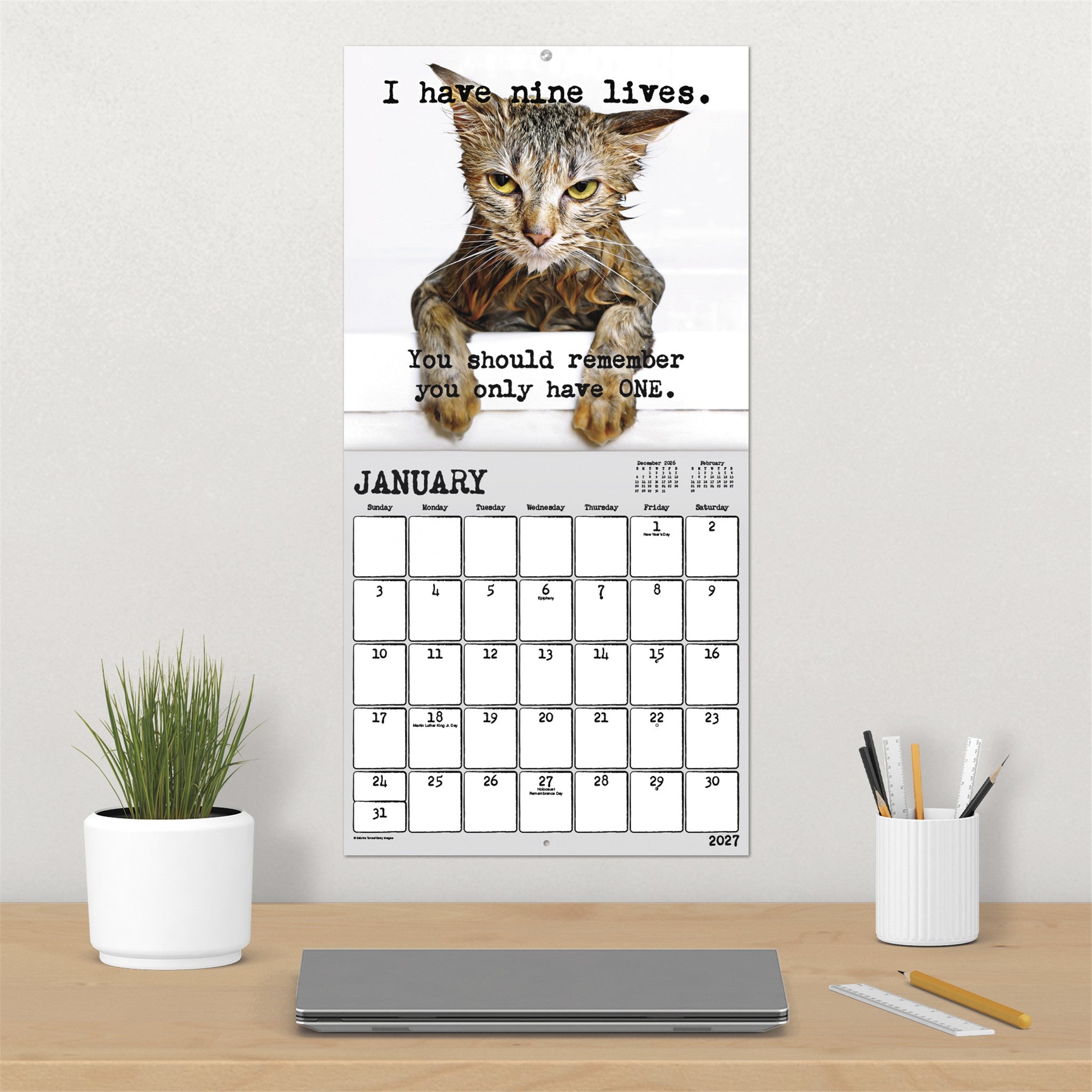 Snarcatstic 2027 Wall Calendar - Online Only