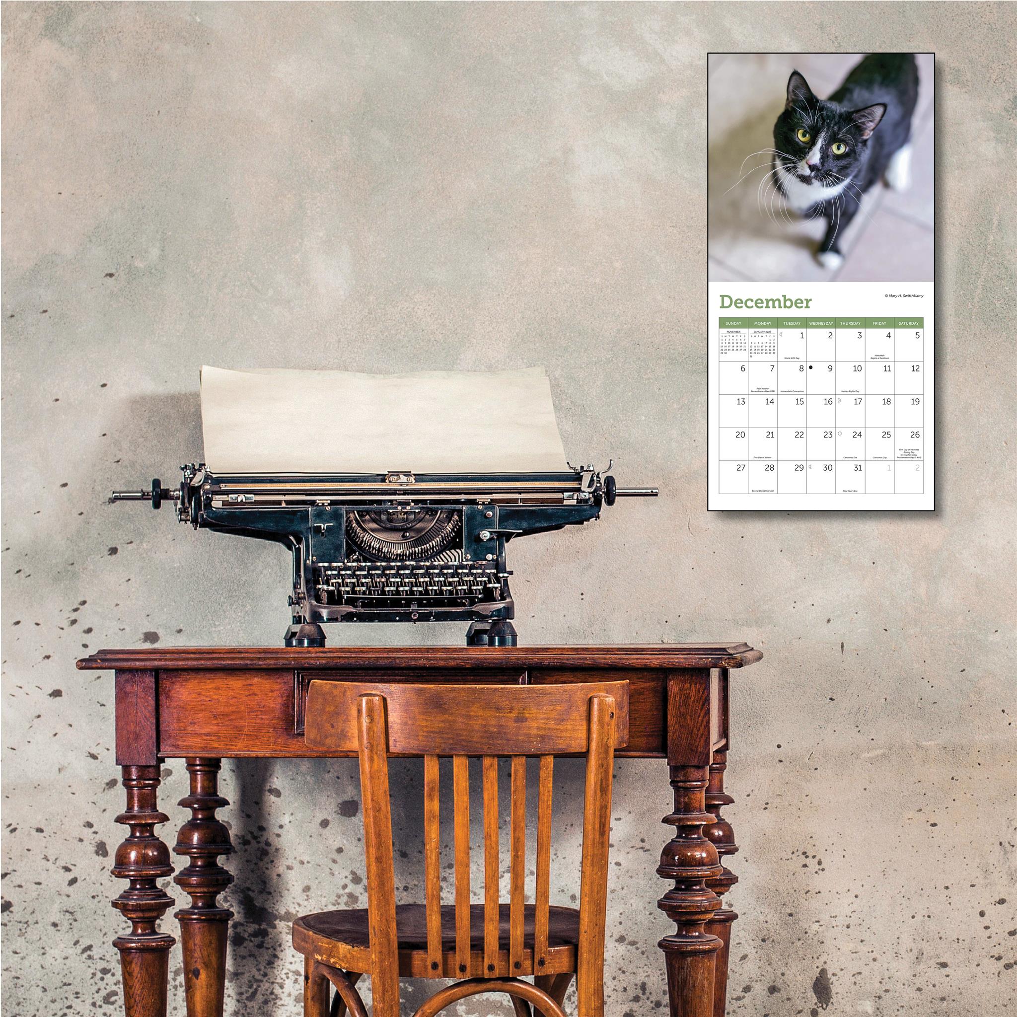 Cats 2026 Mini Calendar