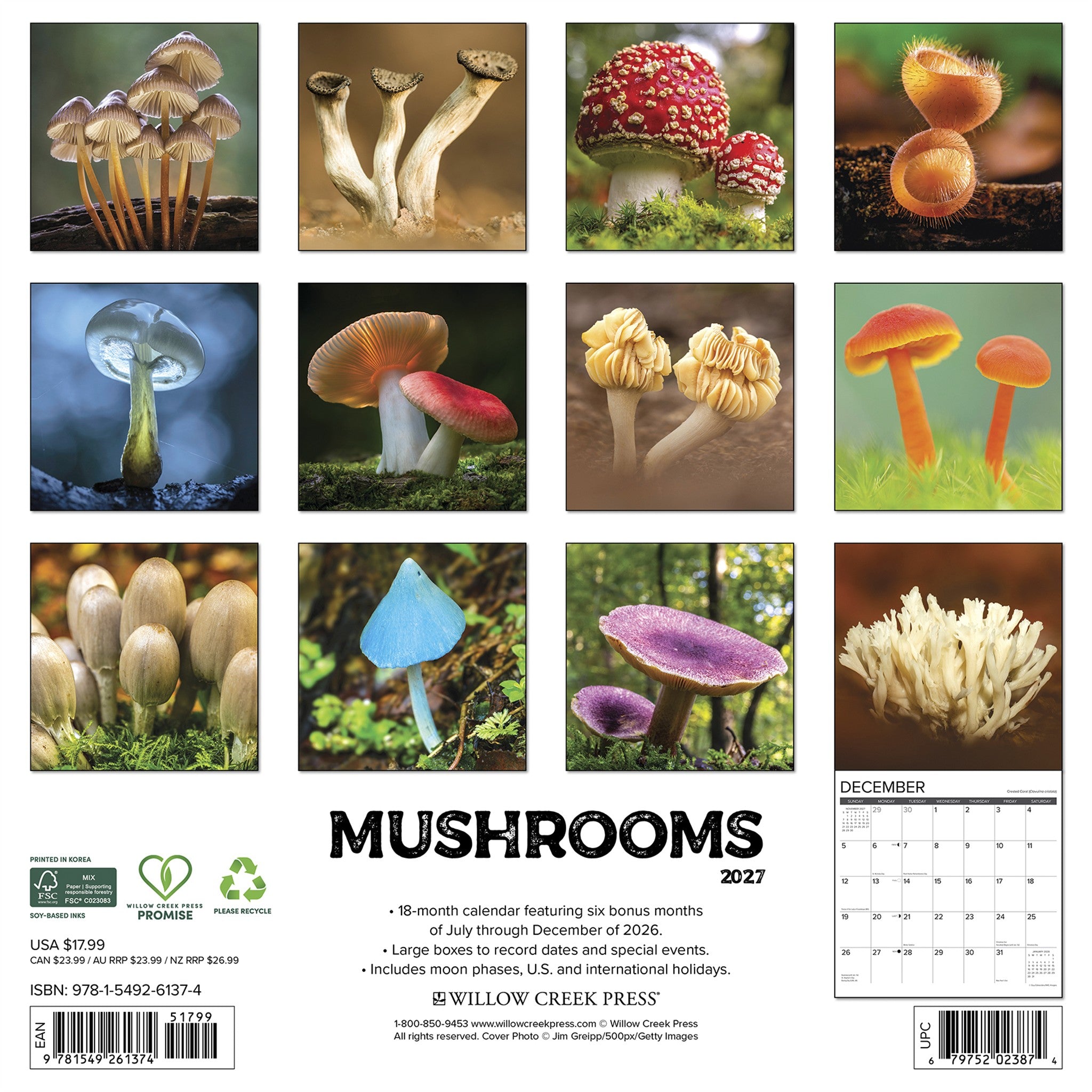 Mushrooms 2027 Wall Calendar - Online Only
