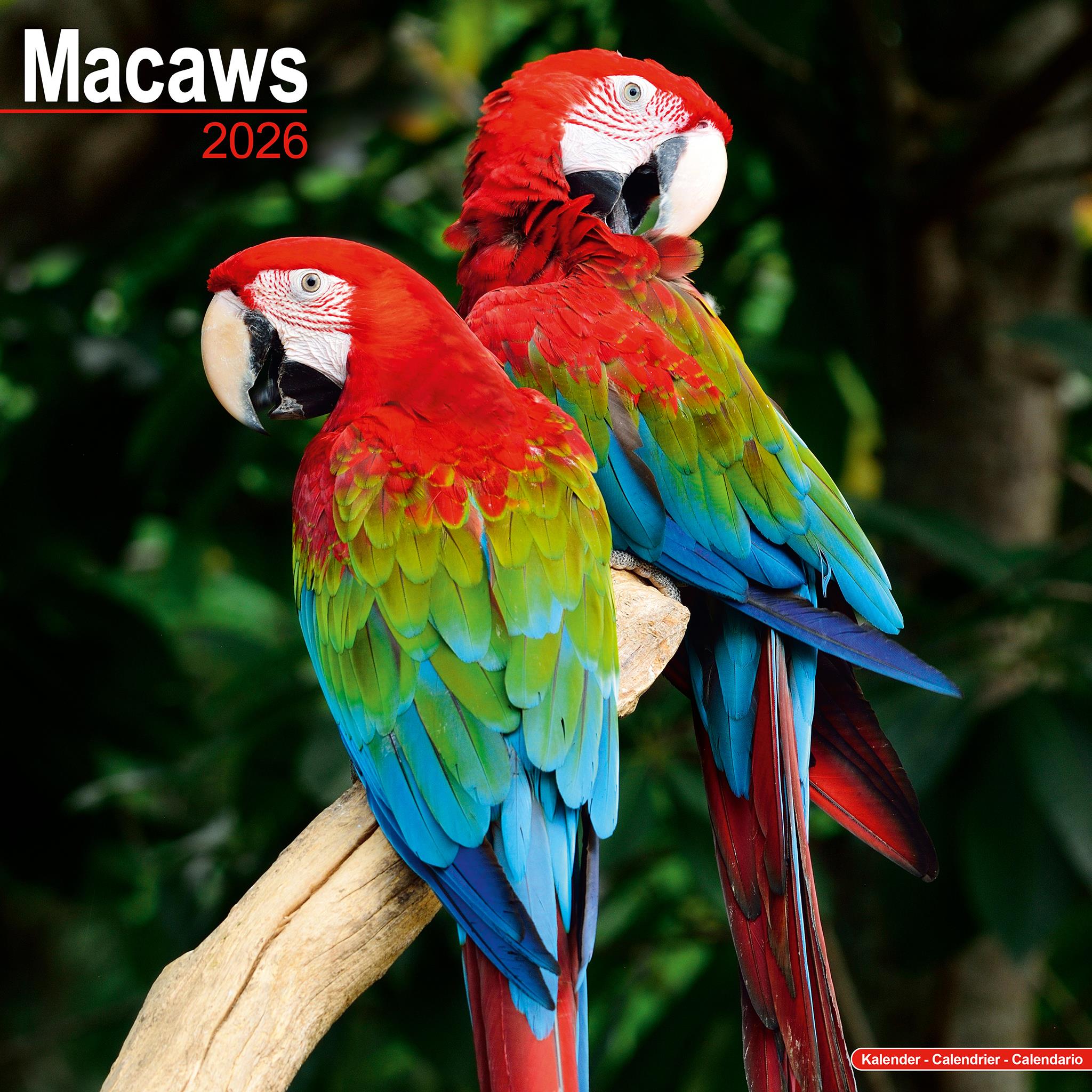 Calendrier mural Macaws 2026