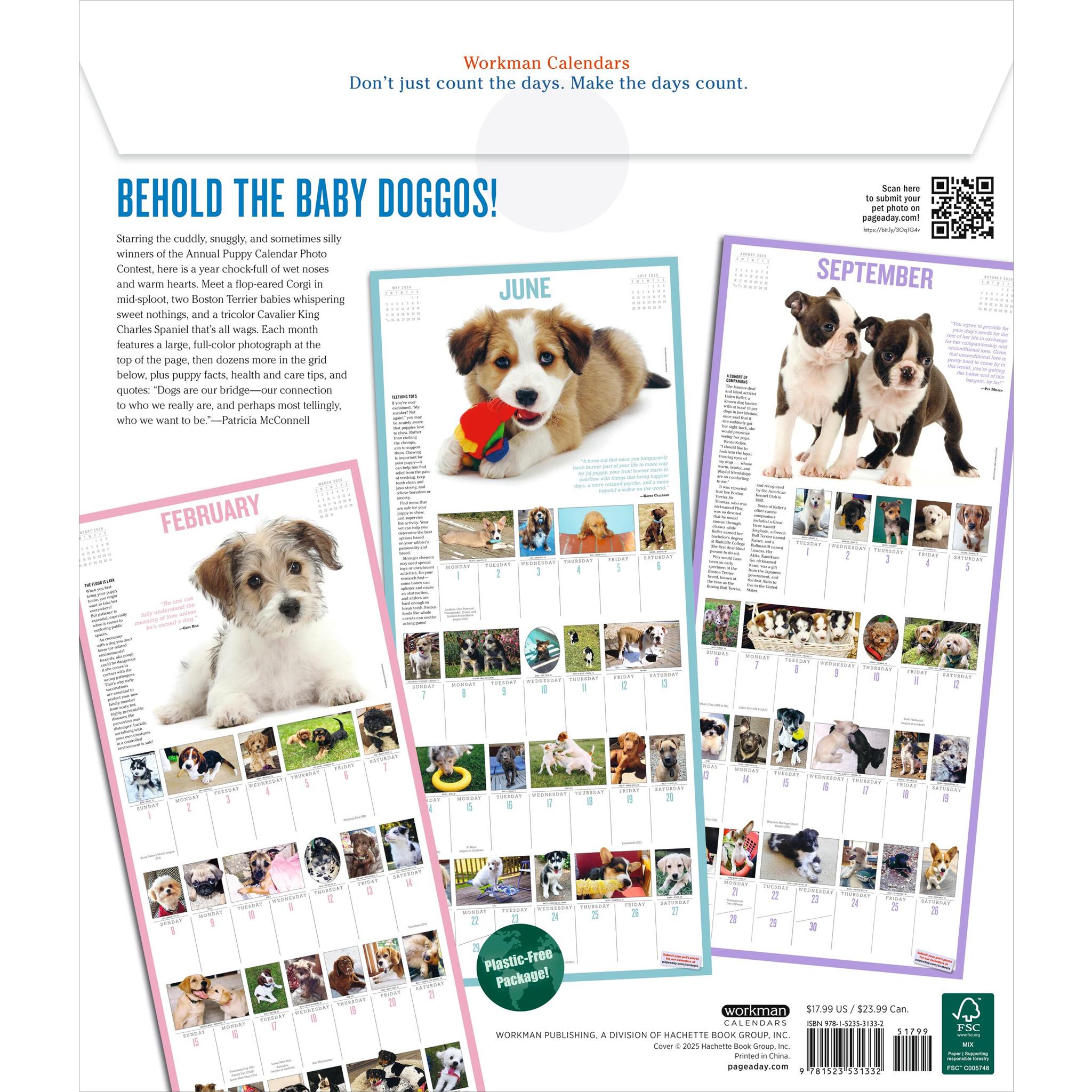Puppies 365 2026 Wall Calendar
