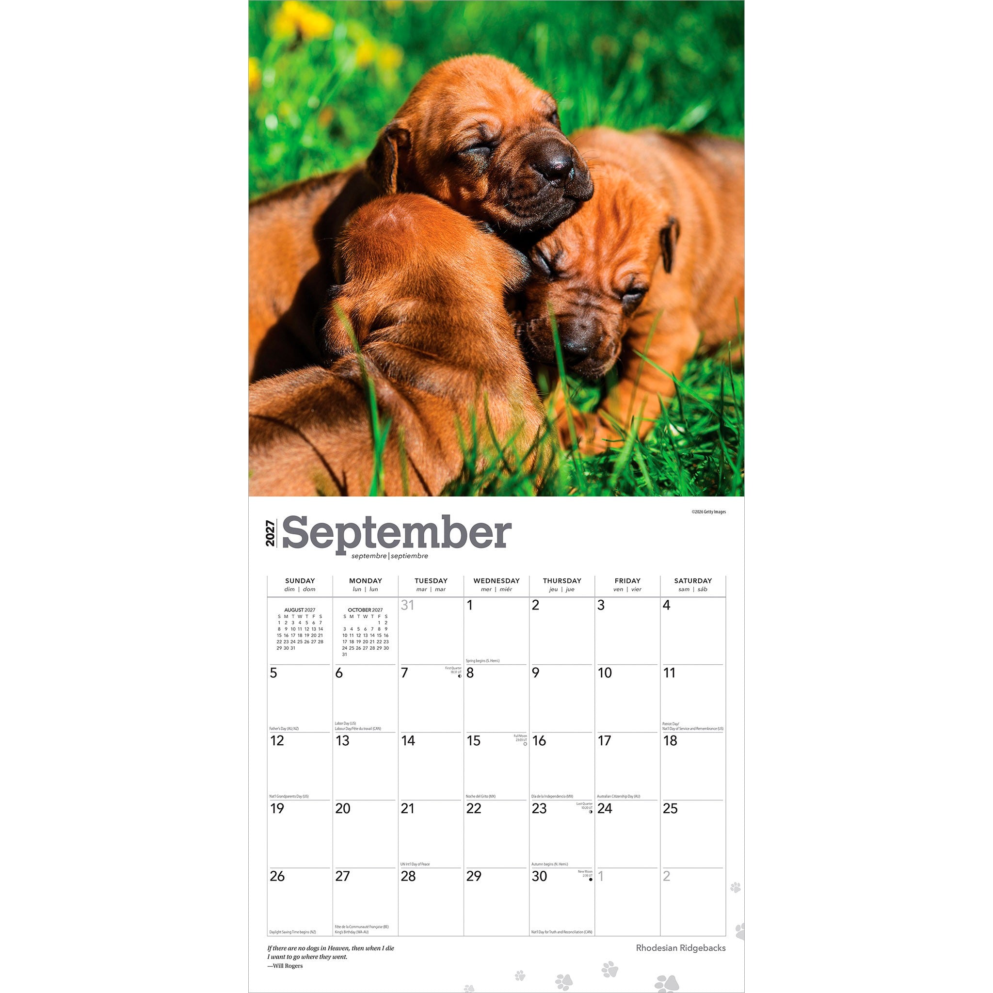 Rhodesian Ridgebacks 2027 Wall Calendar