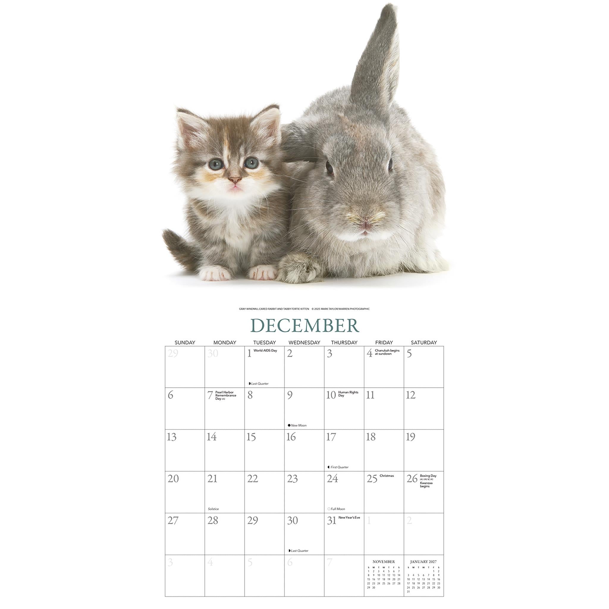 Calendrier mural Lapins et Amis 2026