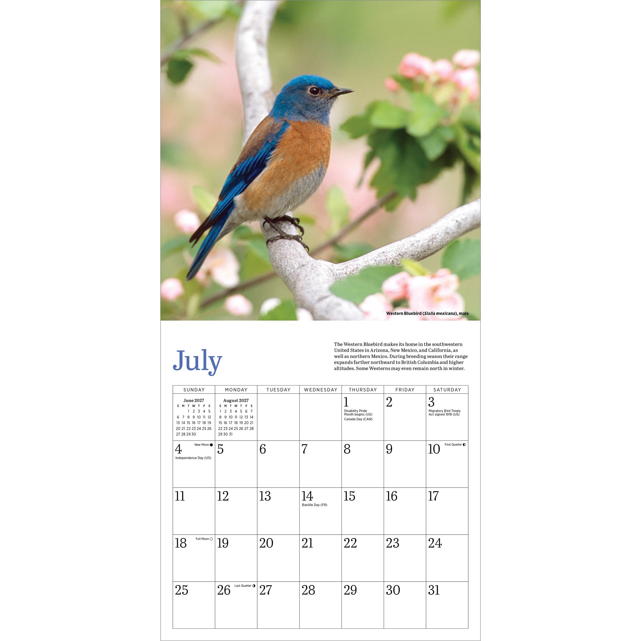 Audbon Bluebirds 2027 Mini Calendar - Online Only