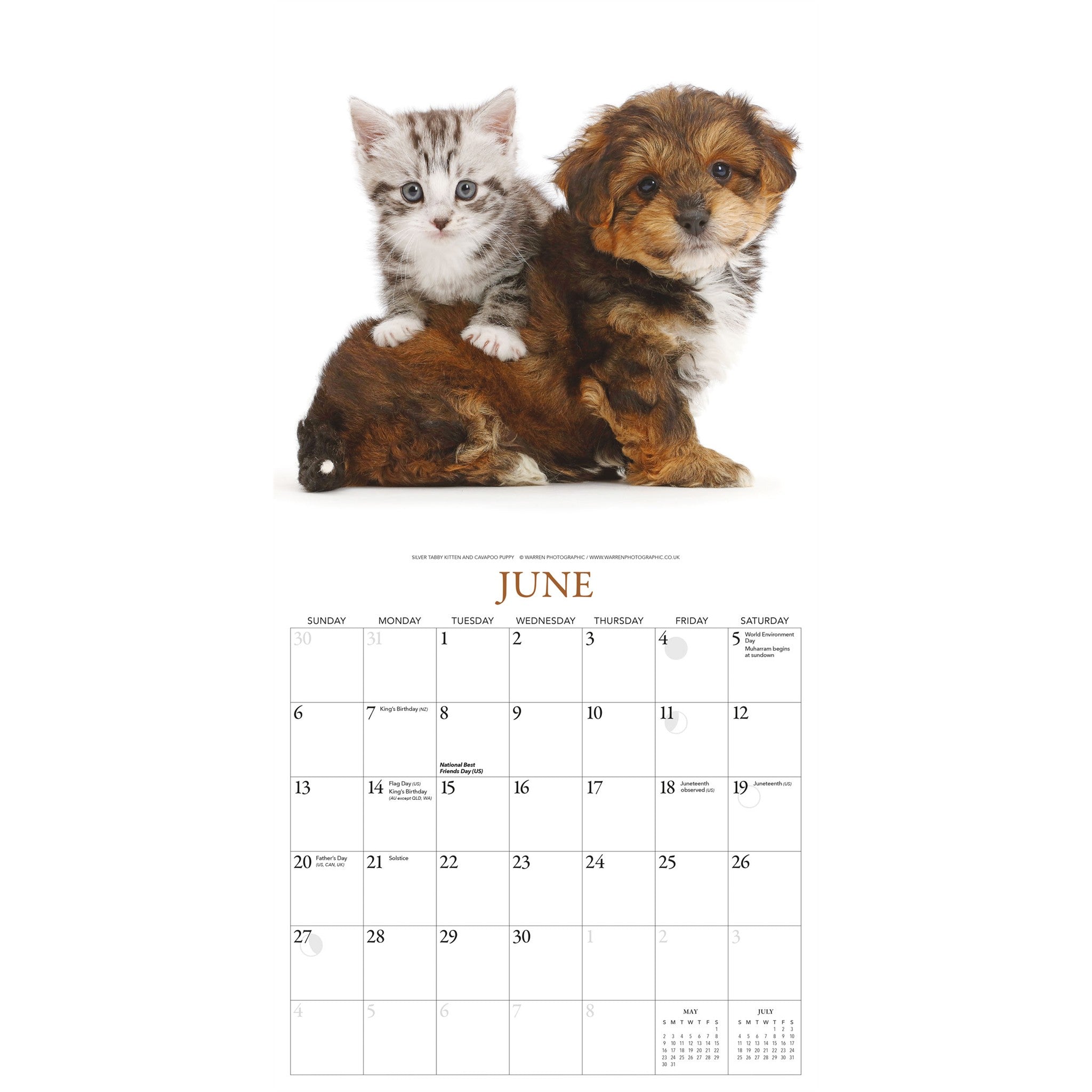 Calendrier mural Chiots et amis 2027