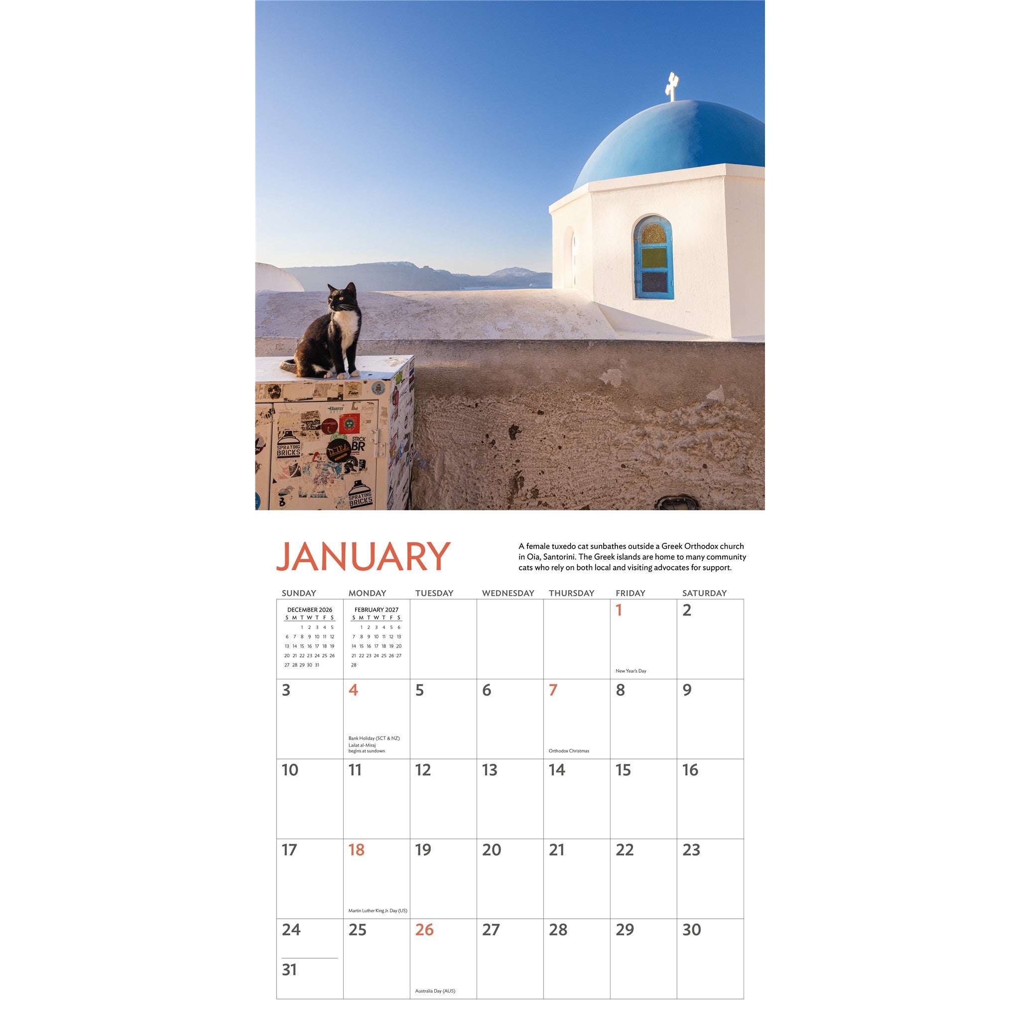 Cats of the World 2027 Wall Calendar - Online Only