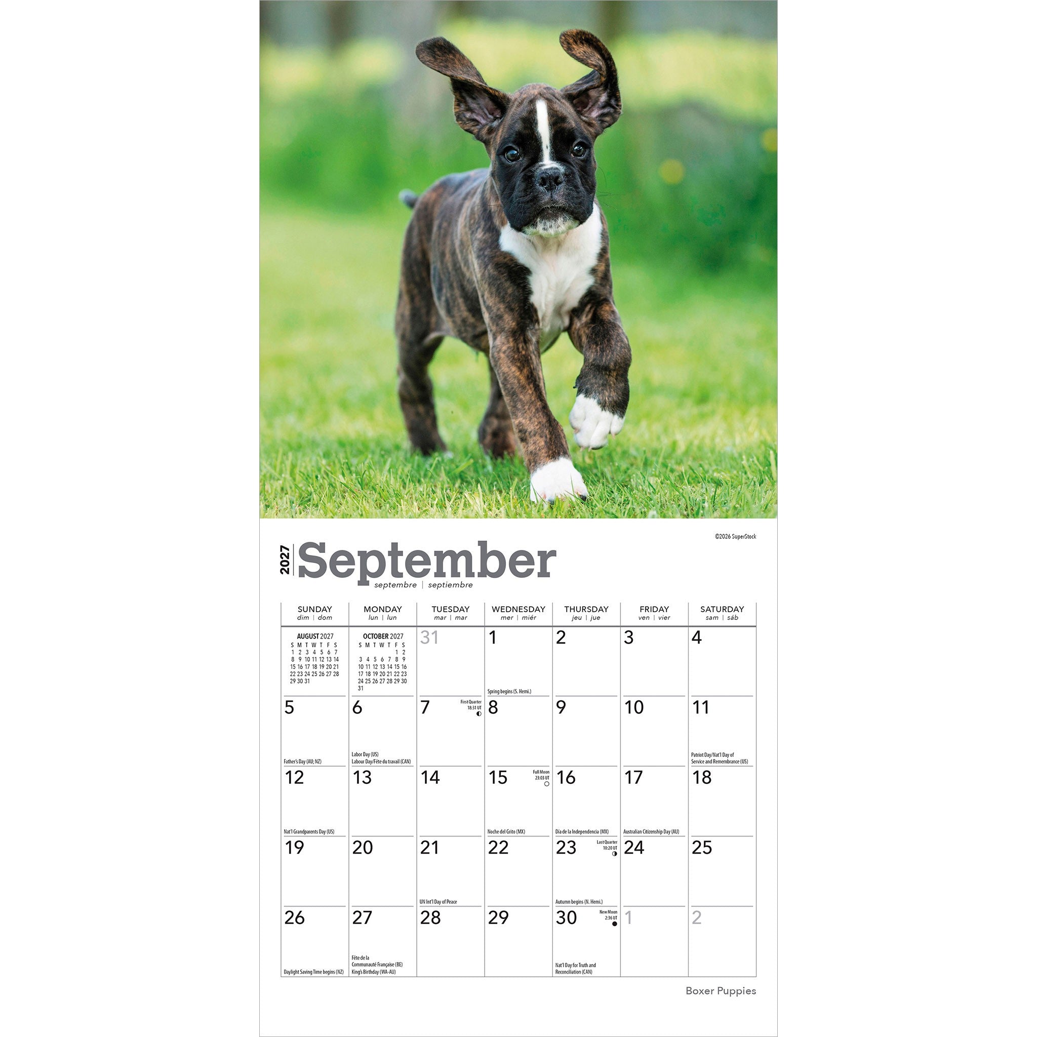 Boxer Puppies 2027 Mini Calendar