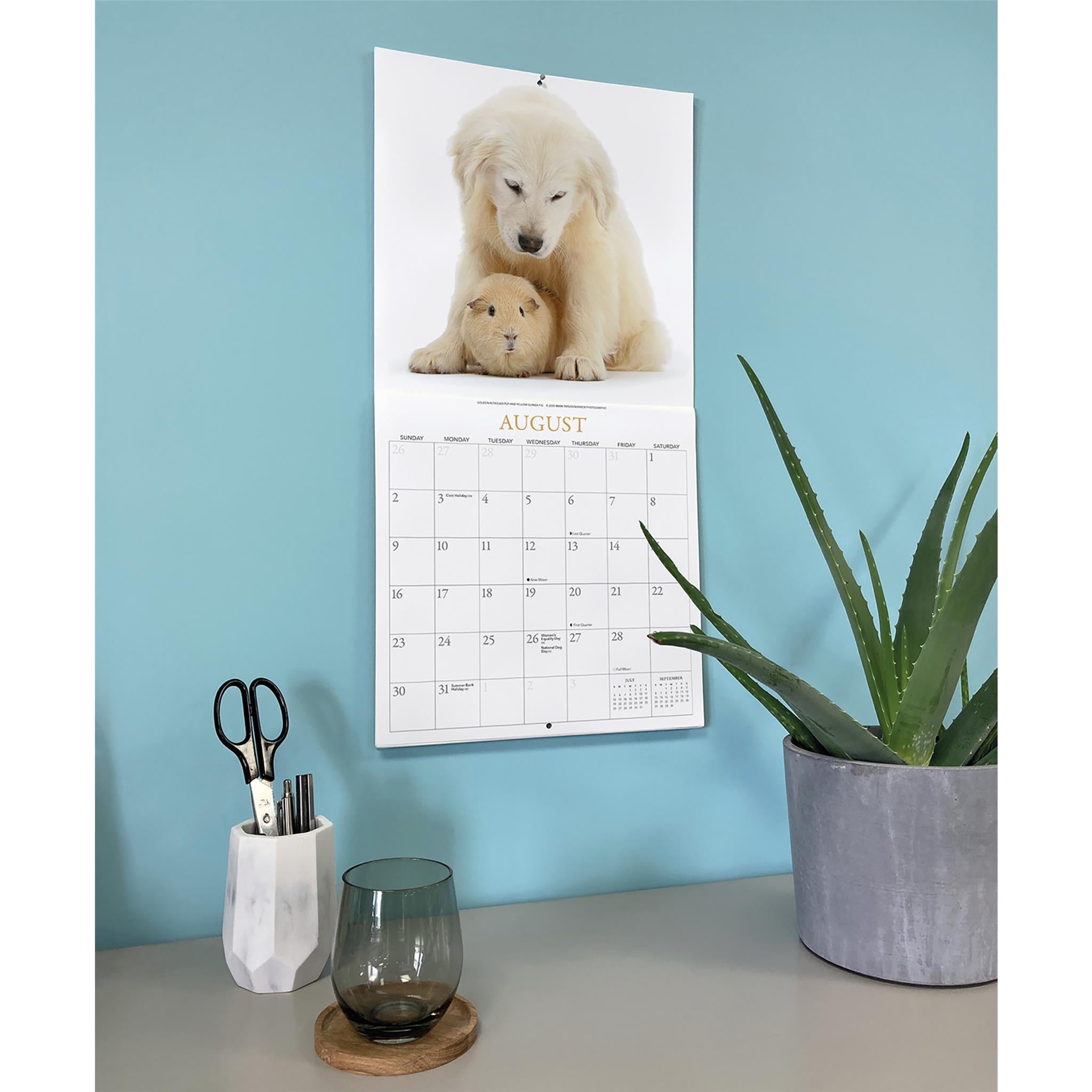 Calendrier mural Chiots et Amis 2026
