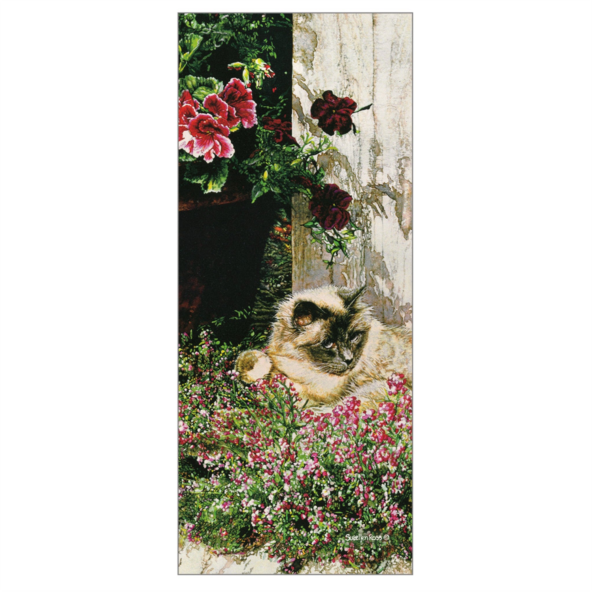 Cats We Love Special Edition 2027 Wall Calendar