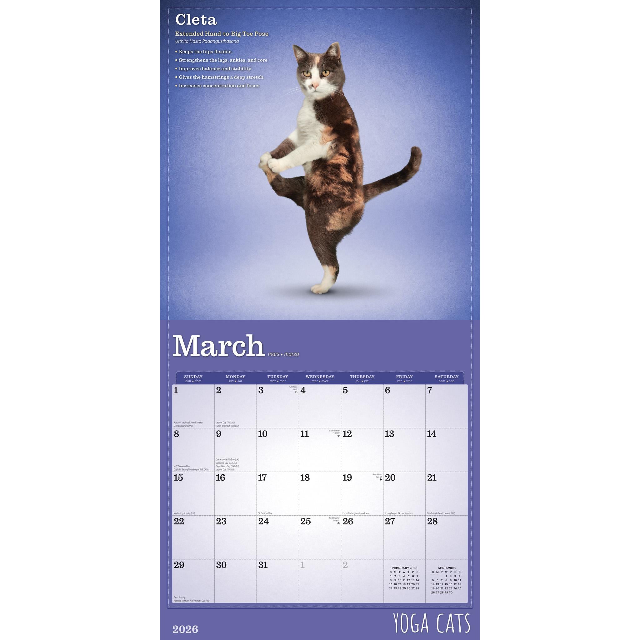 Calendrier mural Yoga Cats 2026