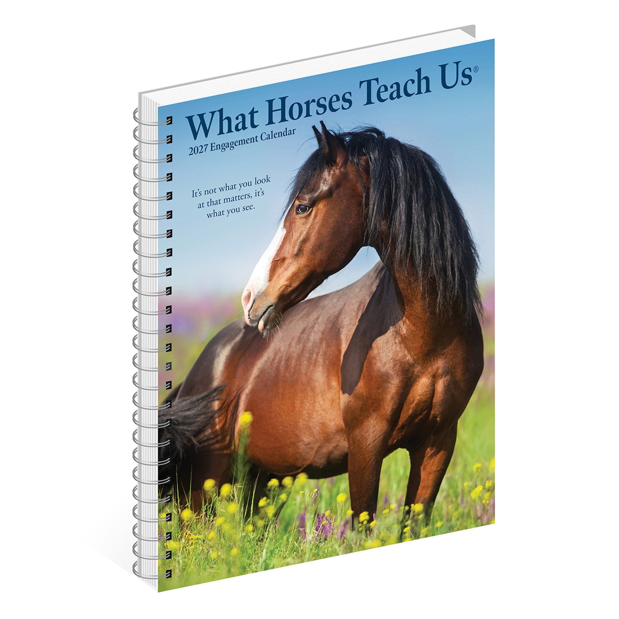 What Horses Teach Us 2027 Engagement Calendar