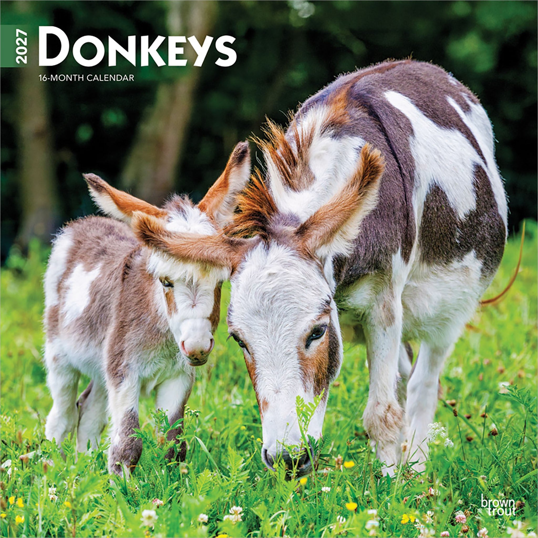 Donkeys 2027 Wall Calendar