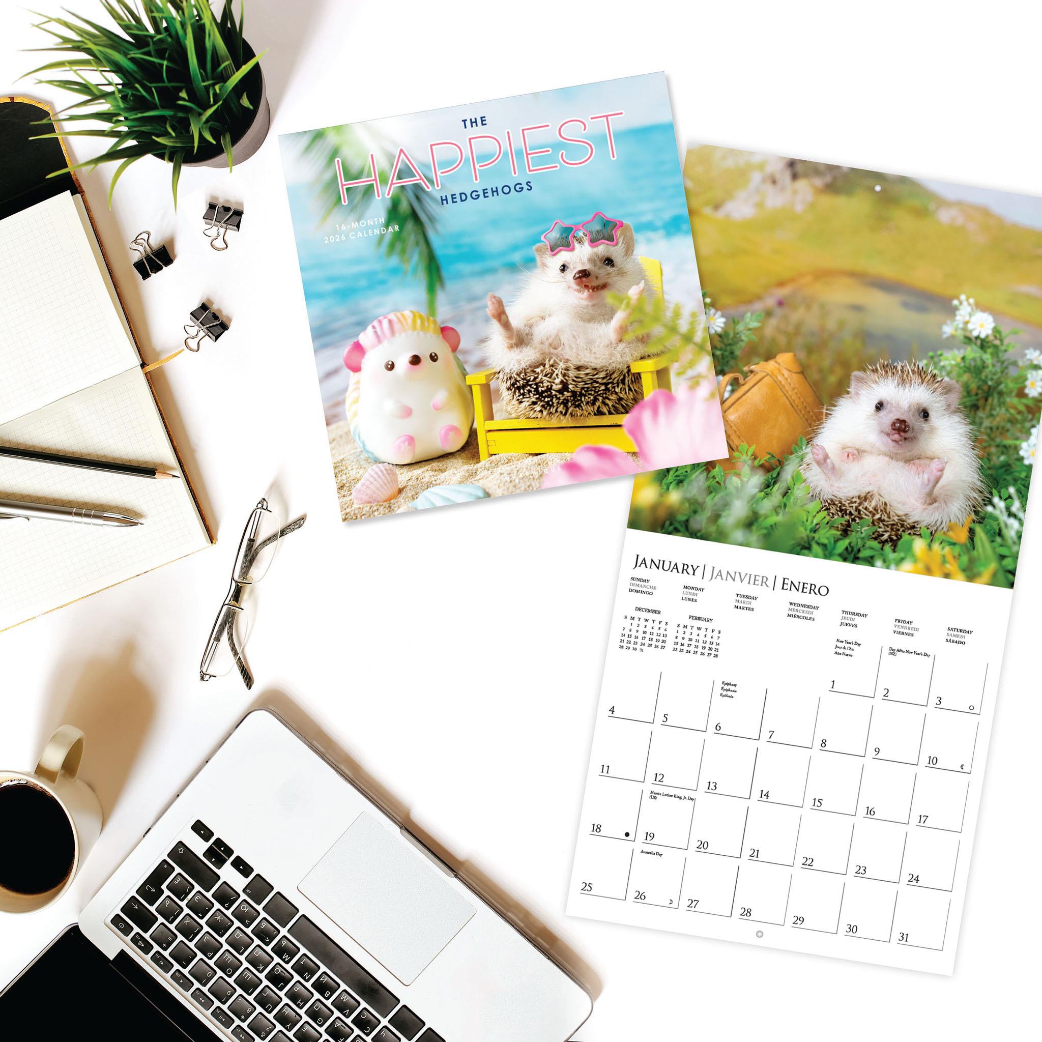 Happiest Hedgehogs 2026 Wall Calendar - Online Only