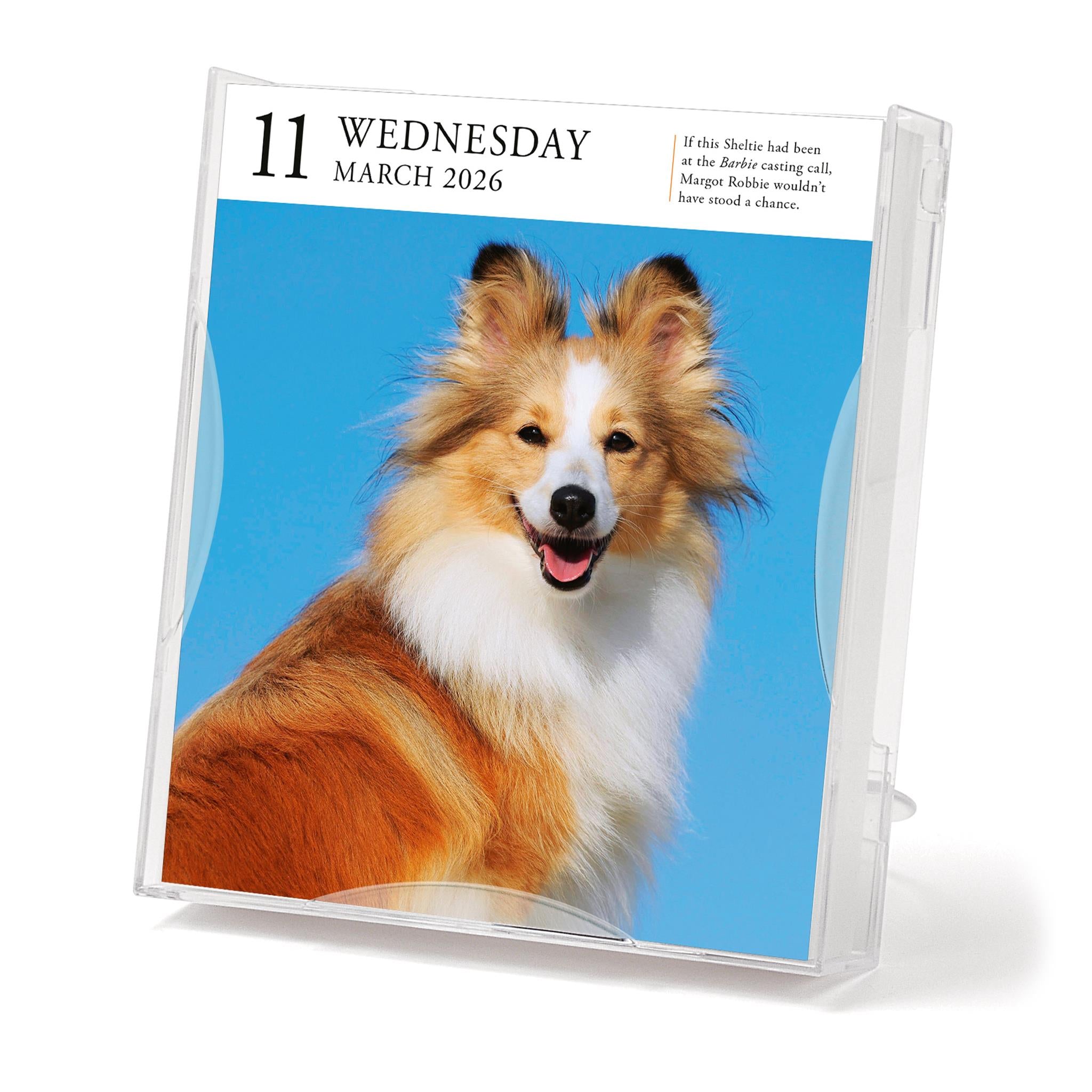 Calendrier Dog Gallery 2026