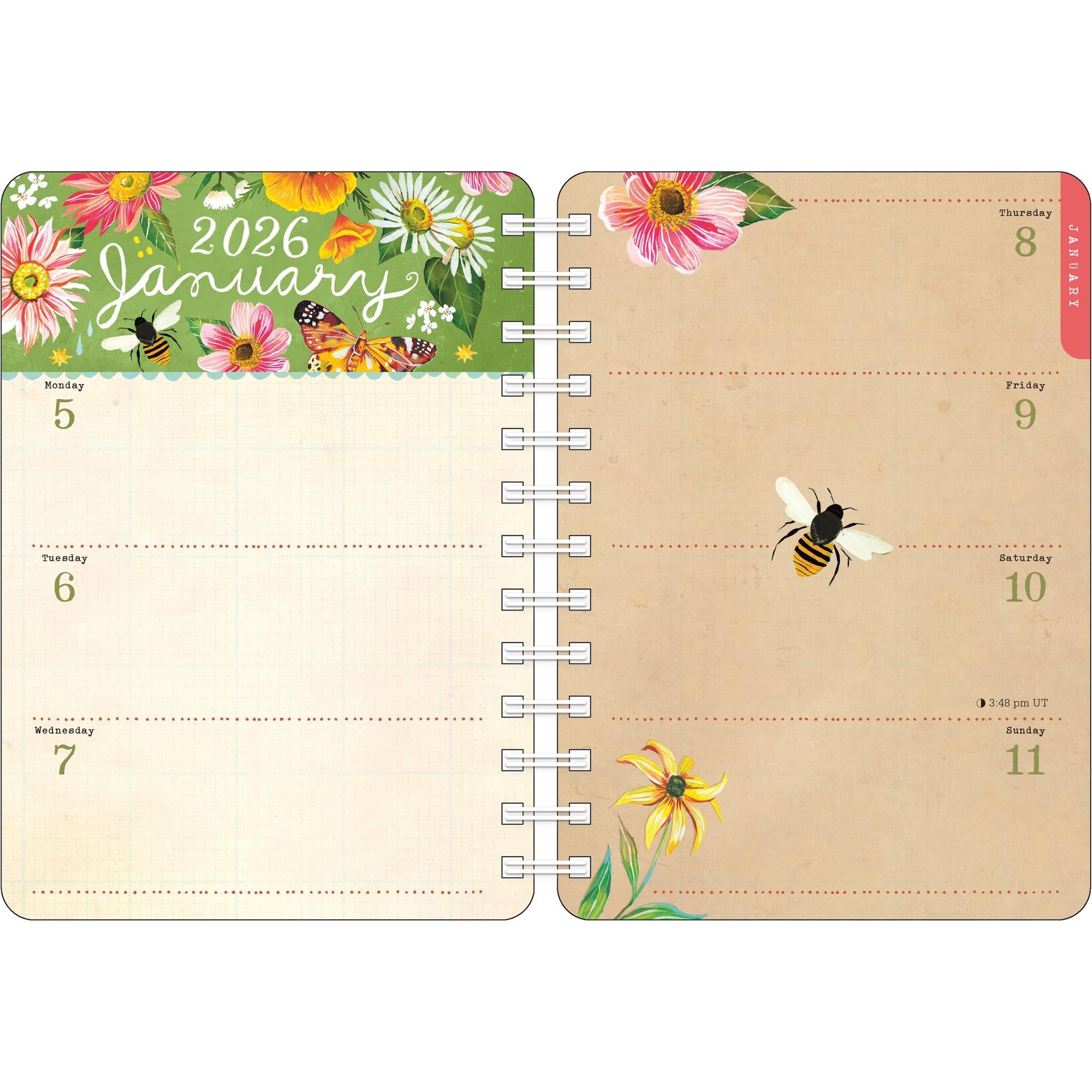 Katie Daisy 2026 Engagement Calendar