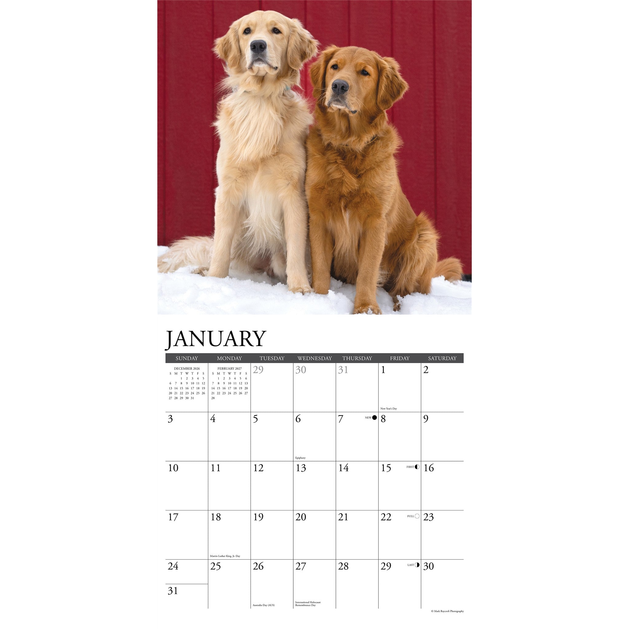 Goldens 2027 Wall Calendar