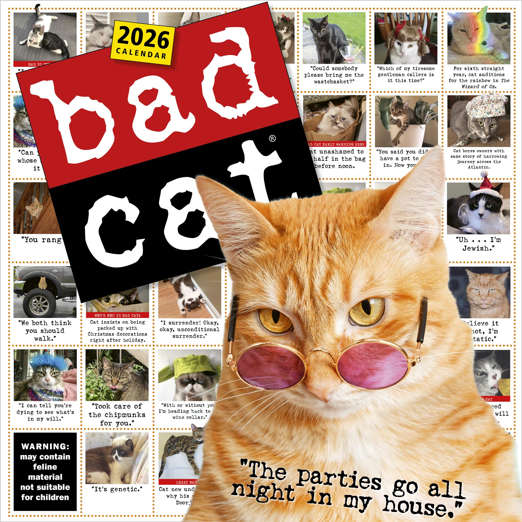 Calendrier mural Bad Cat 2026 - Disponible uniquement en ligne
