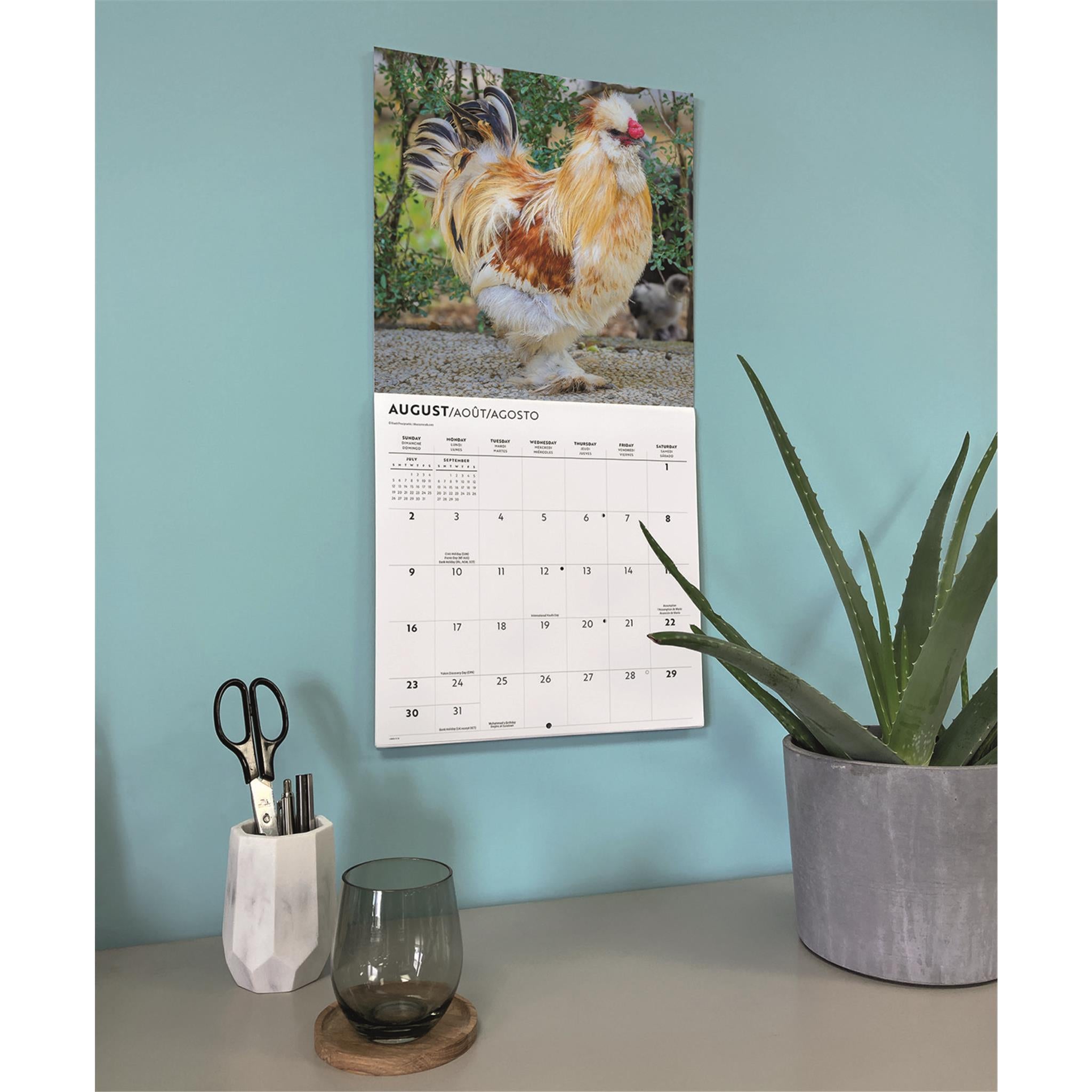 Calendrier mural des poulets 2026