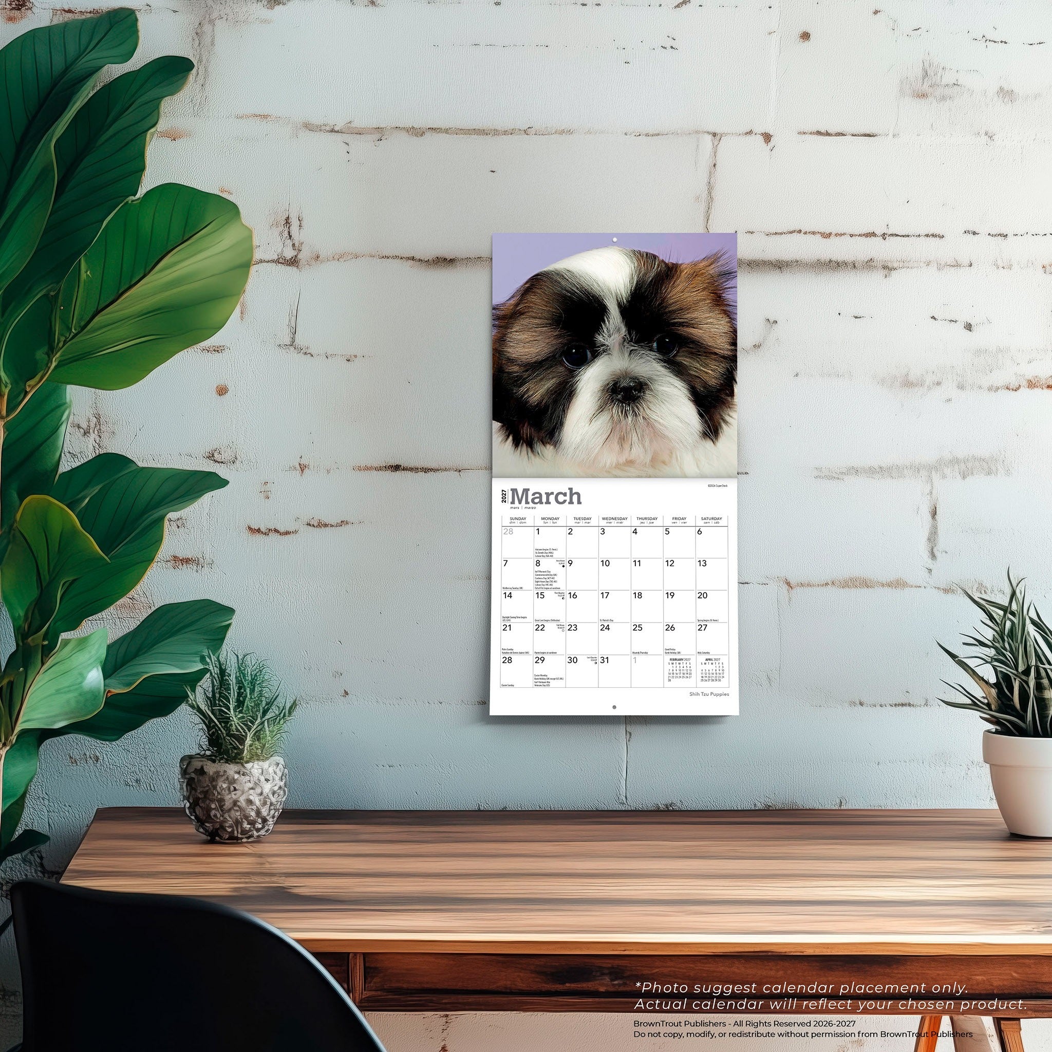 Shih Tzu Puppies 2027 Mini Calendar