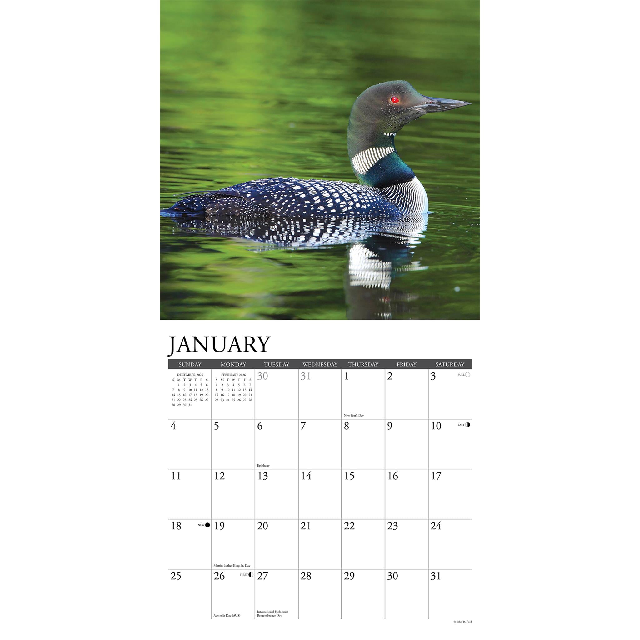 Loons 2026 Wall Calendar - Online Only