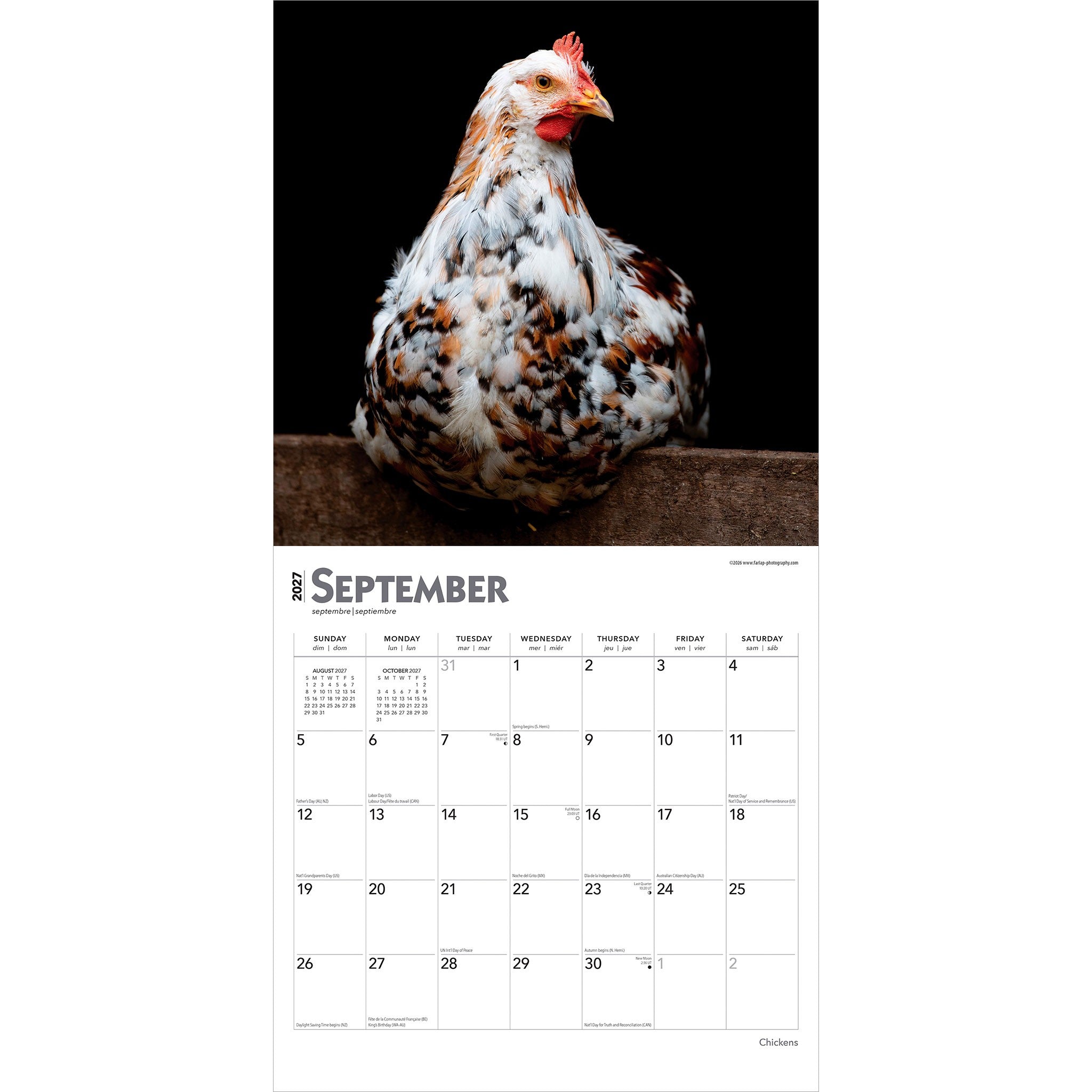Chickens 2027 Wall Calendar