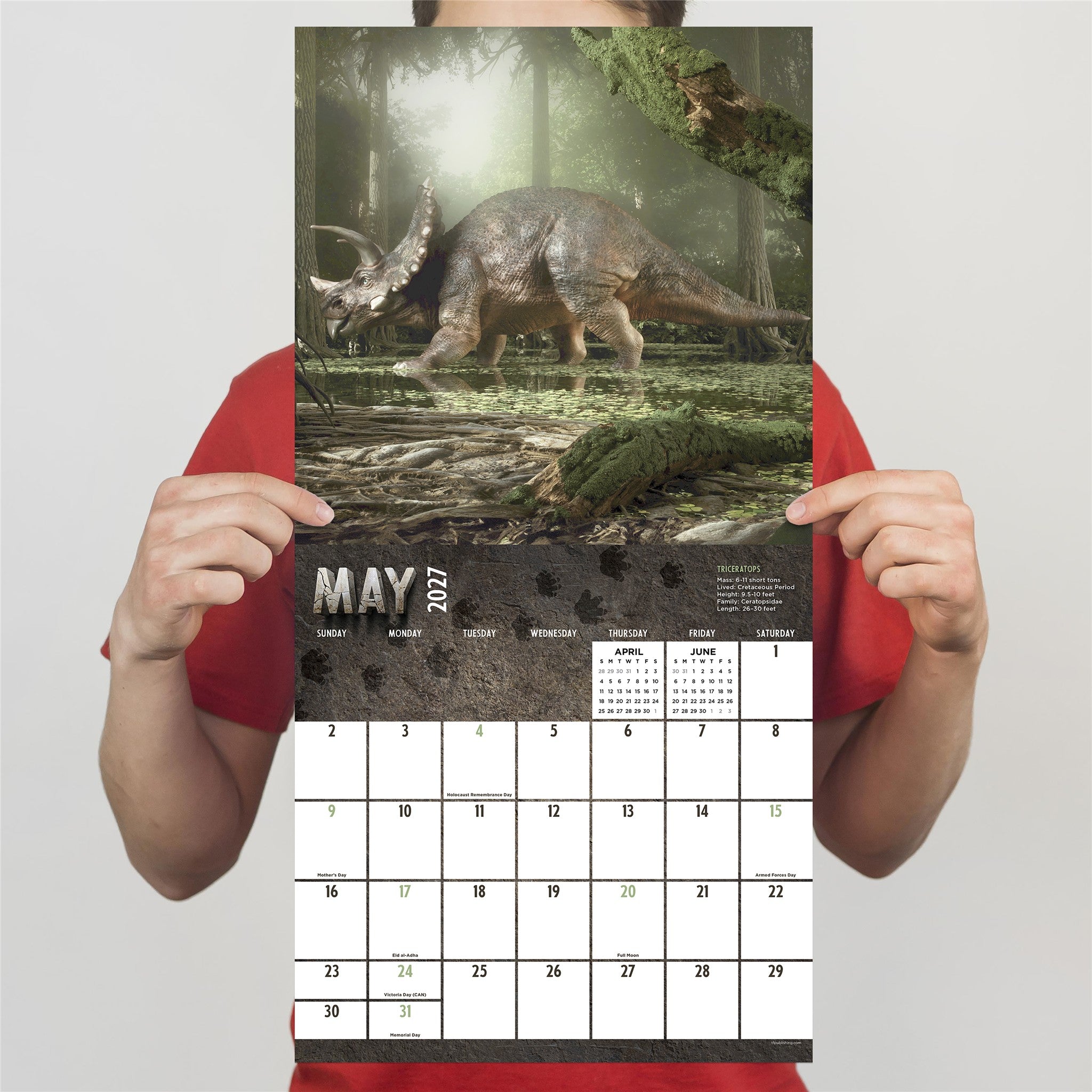 Dinosaurs 2027 Wall Calendar