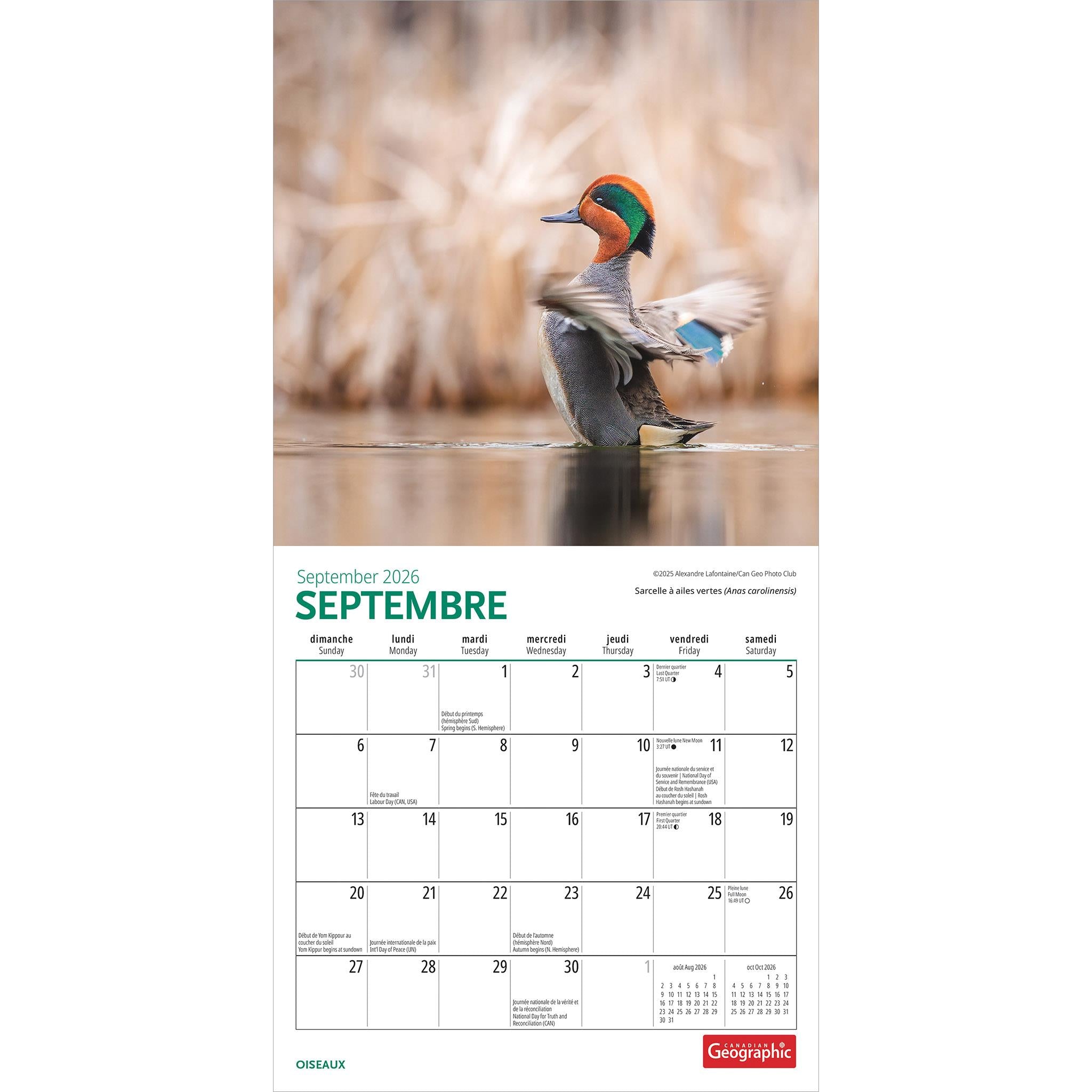 Canadian Geographic Oiseaux 2026 Mini Calendar (French)
