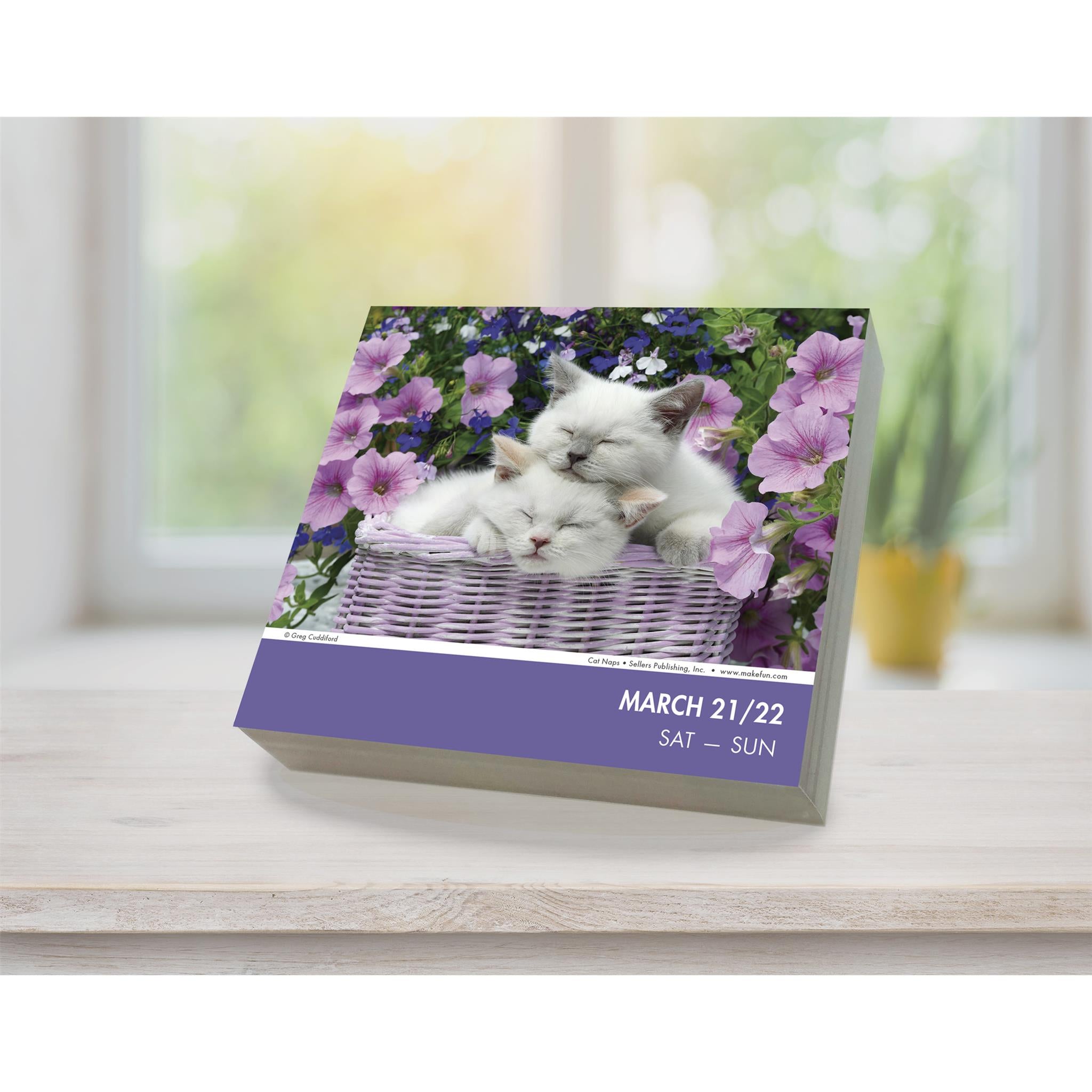 Cat Naps 2026 Box Calendar