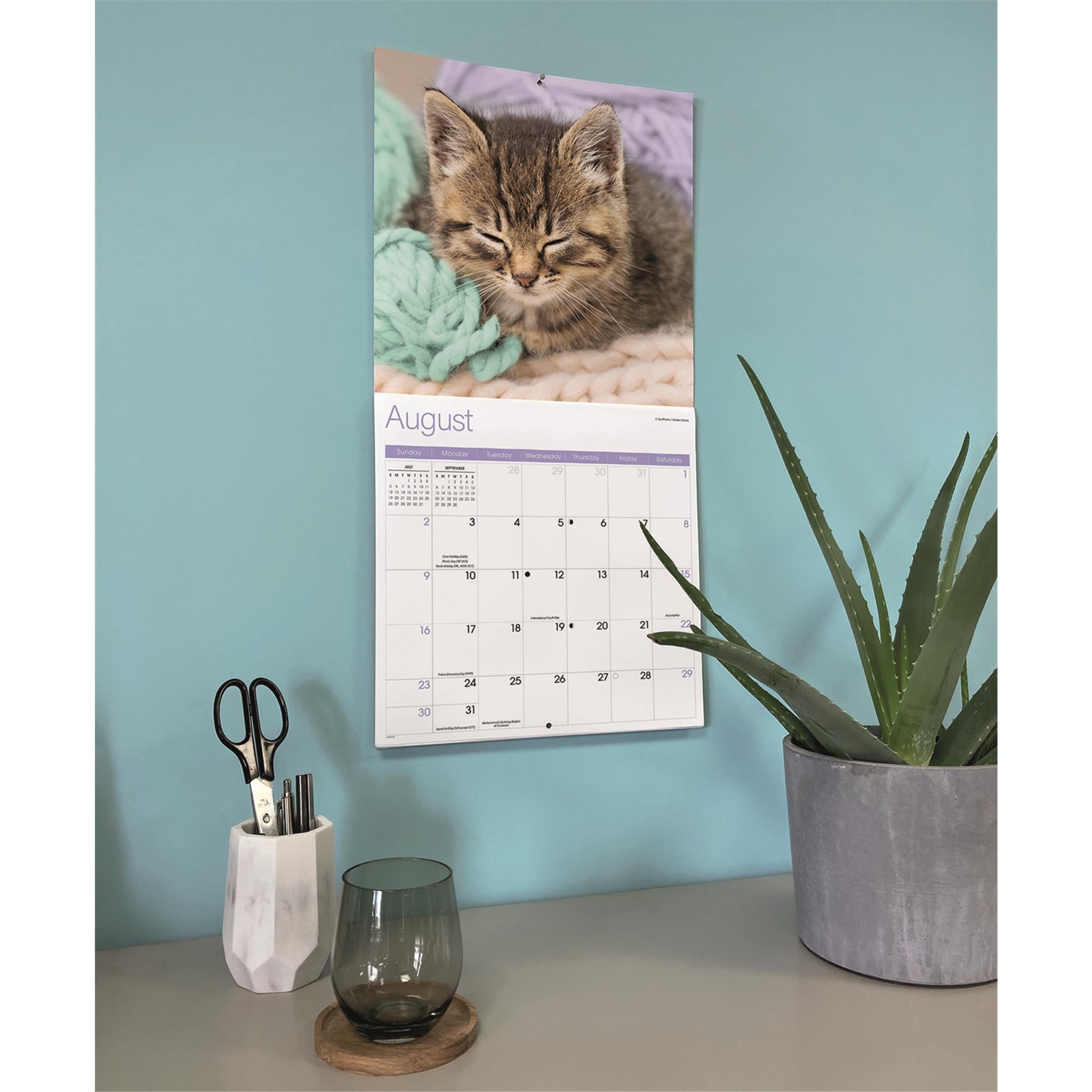 Calendrier mural Kitty Naps 2026